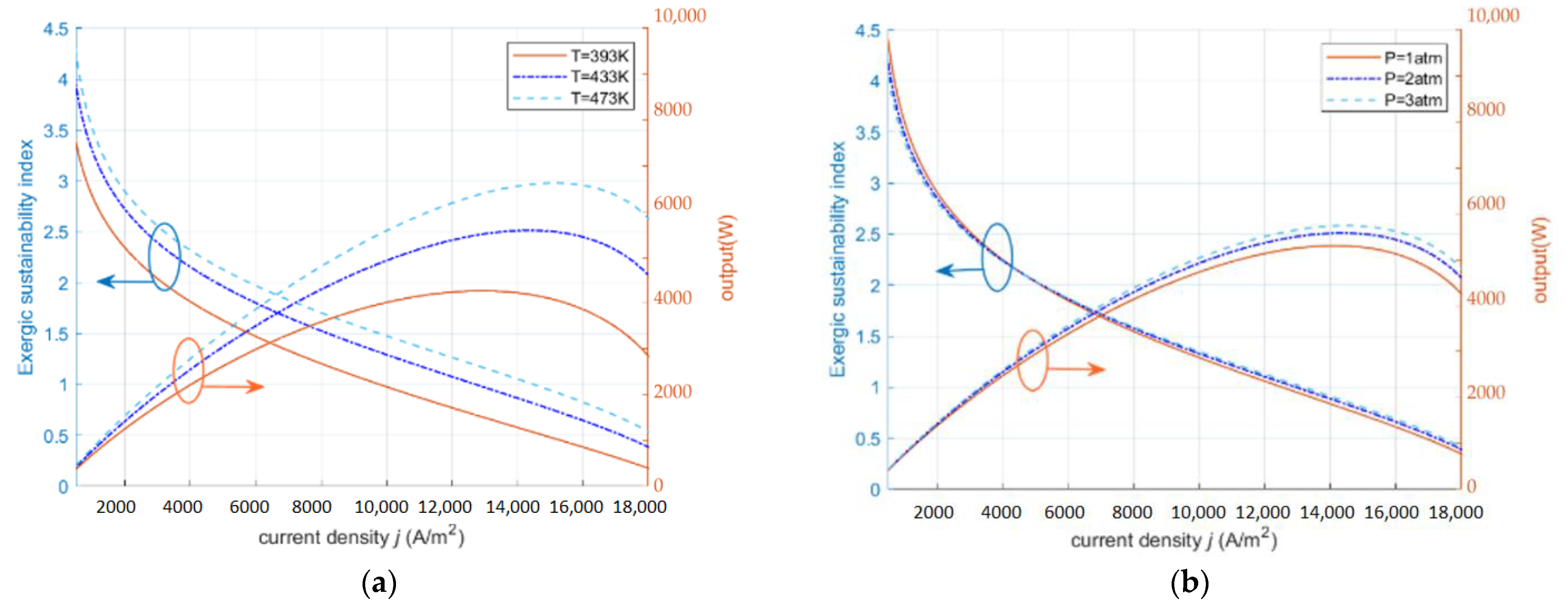Ijms 23 10111 g004 550