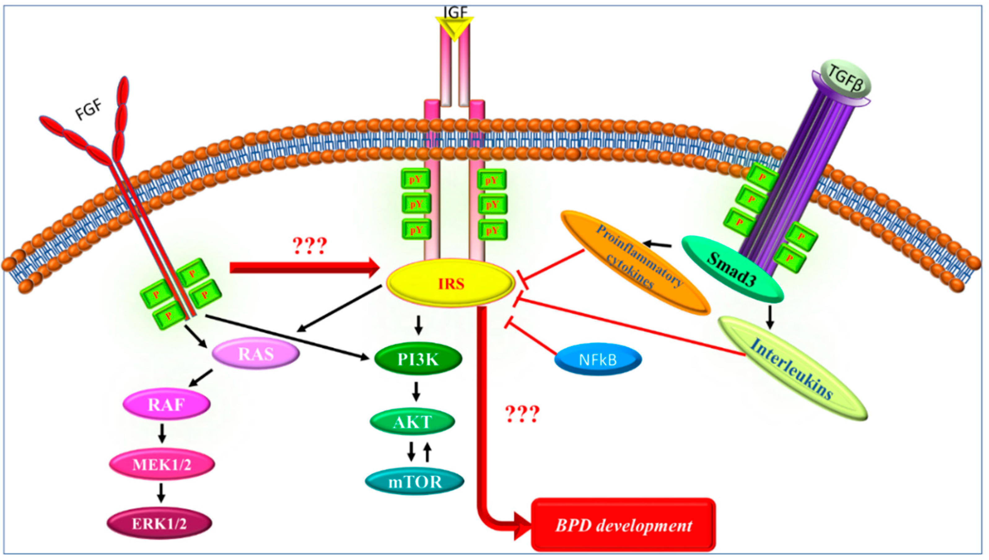 Ijms 23 10113 g003 Ijms 23 10113 g003