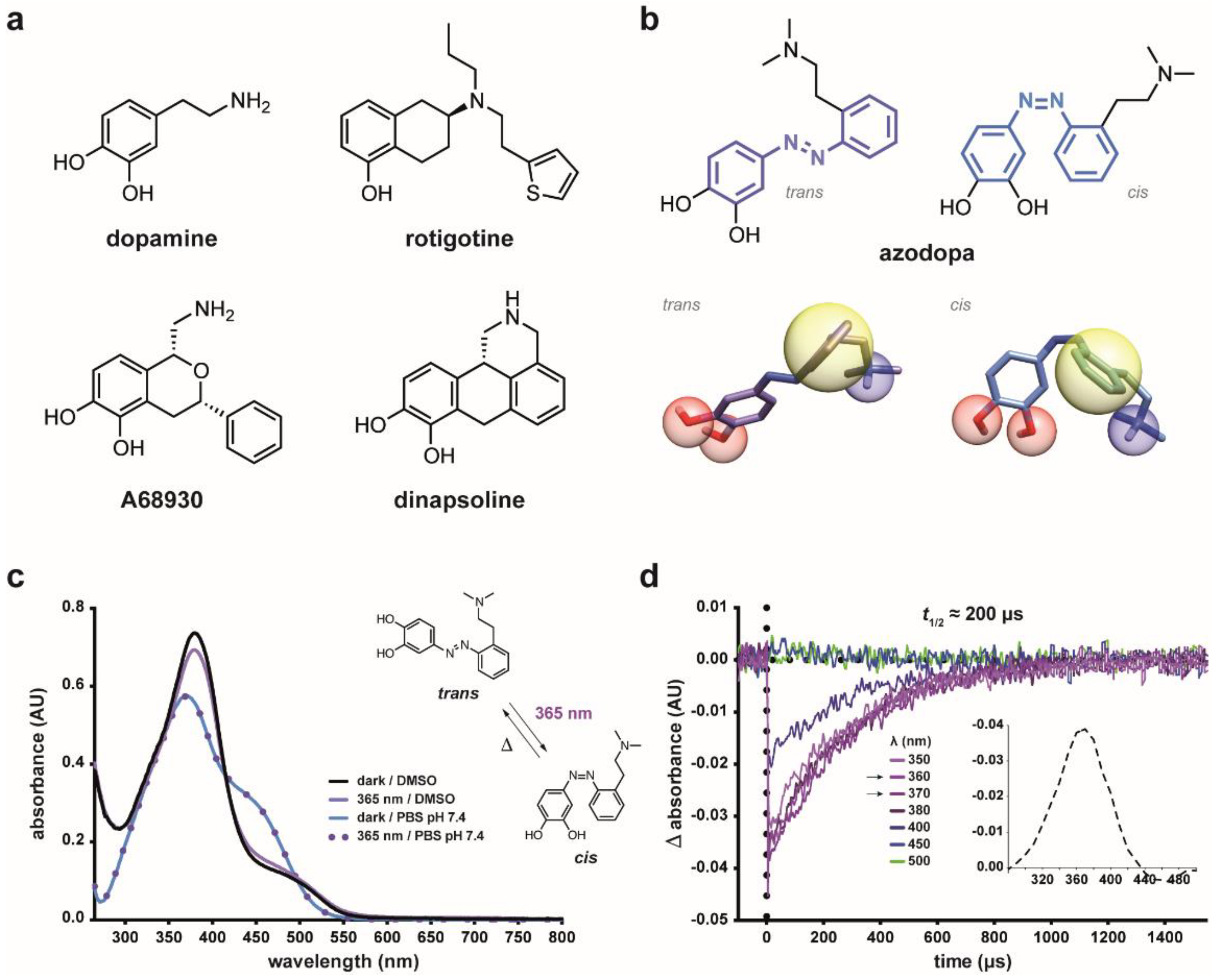Ijms 23 10114 g001 550