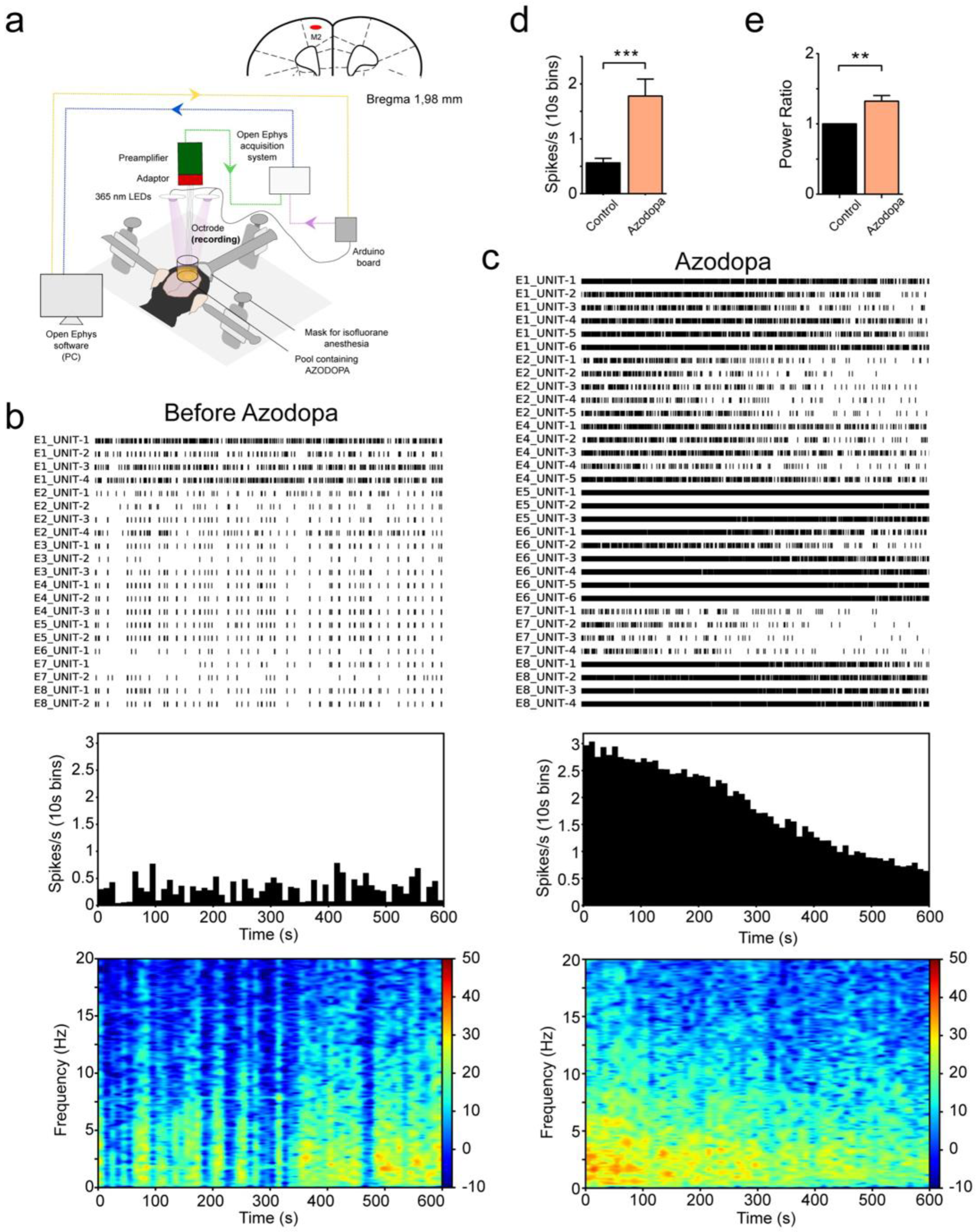 Ijms 23 10114 g004 550