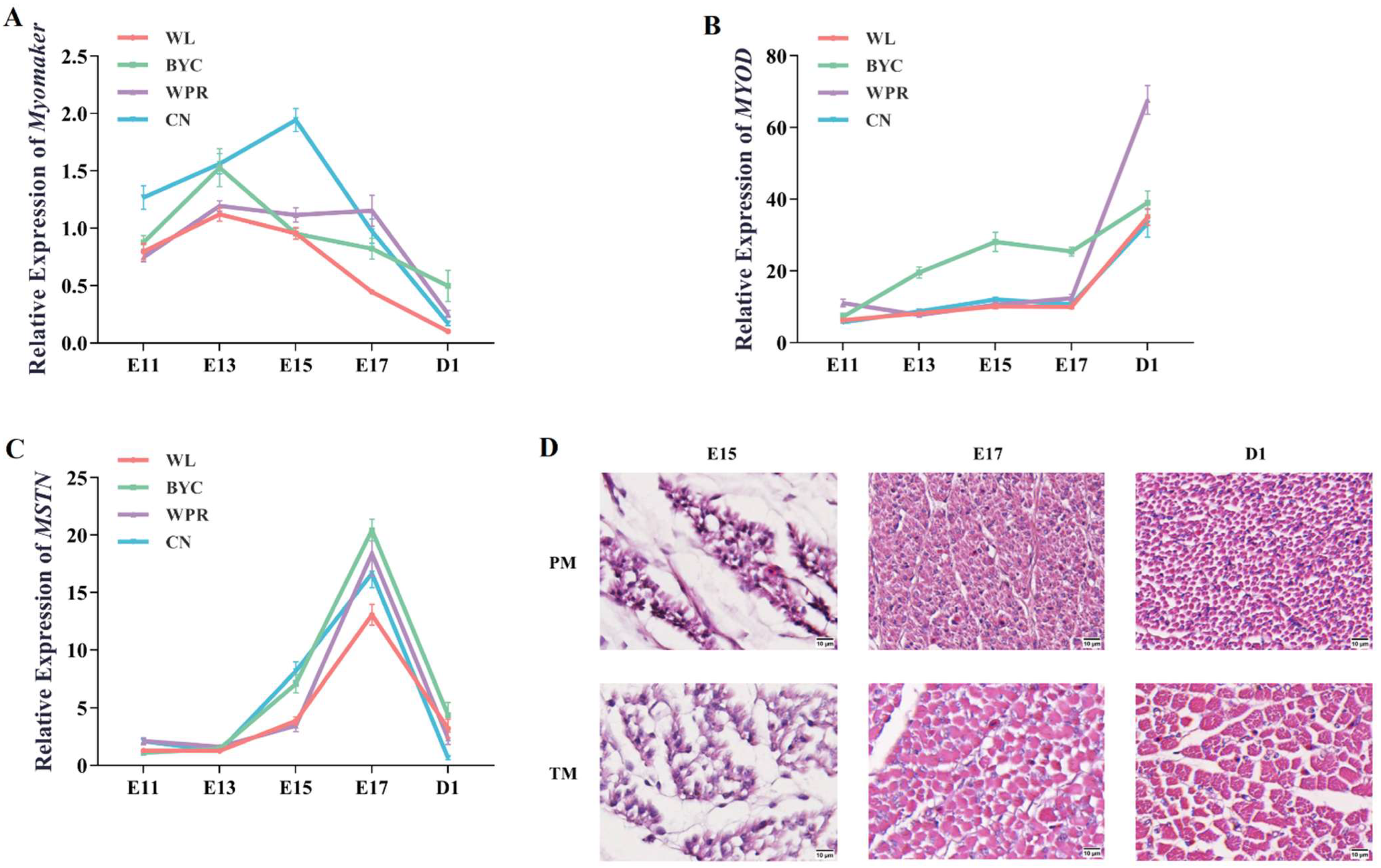 Temporally Regulated and Tissue-Specific Gene Manipulations in the