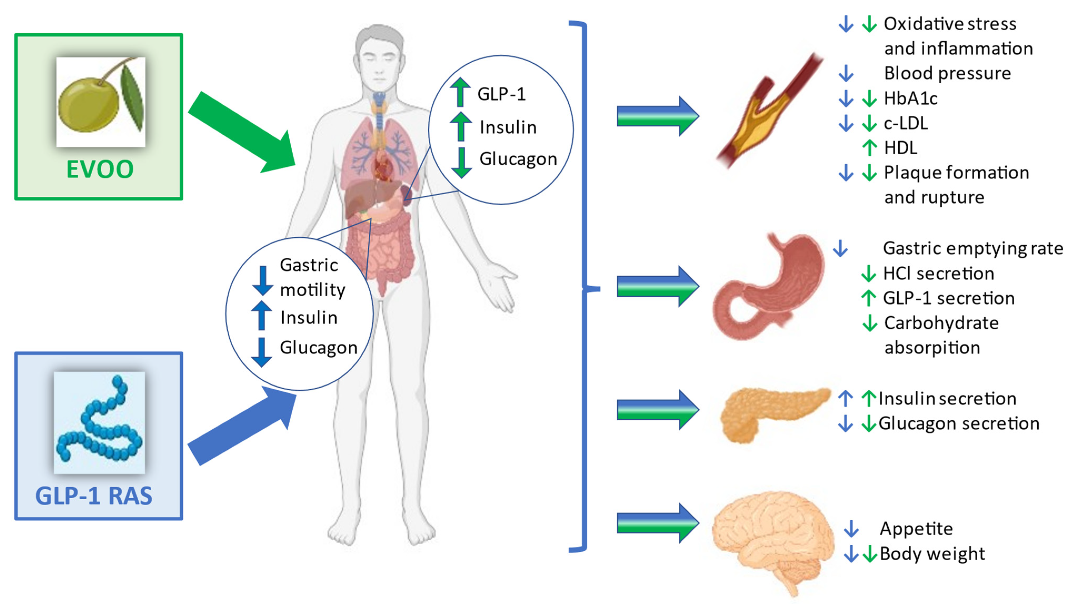 Ijms 23 10120 g001 550