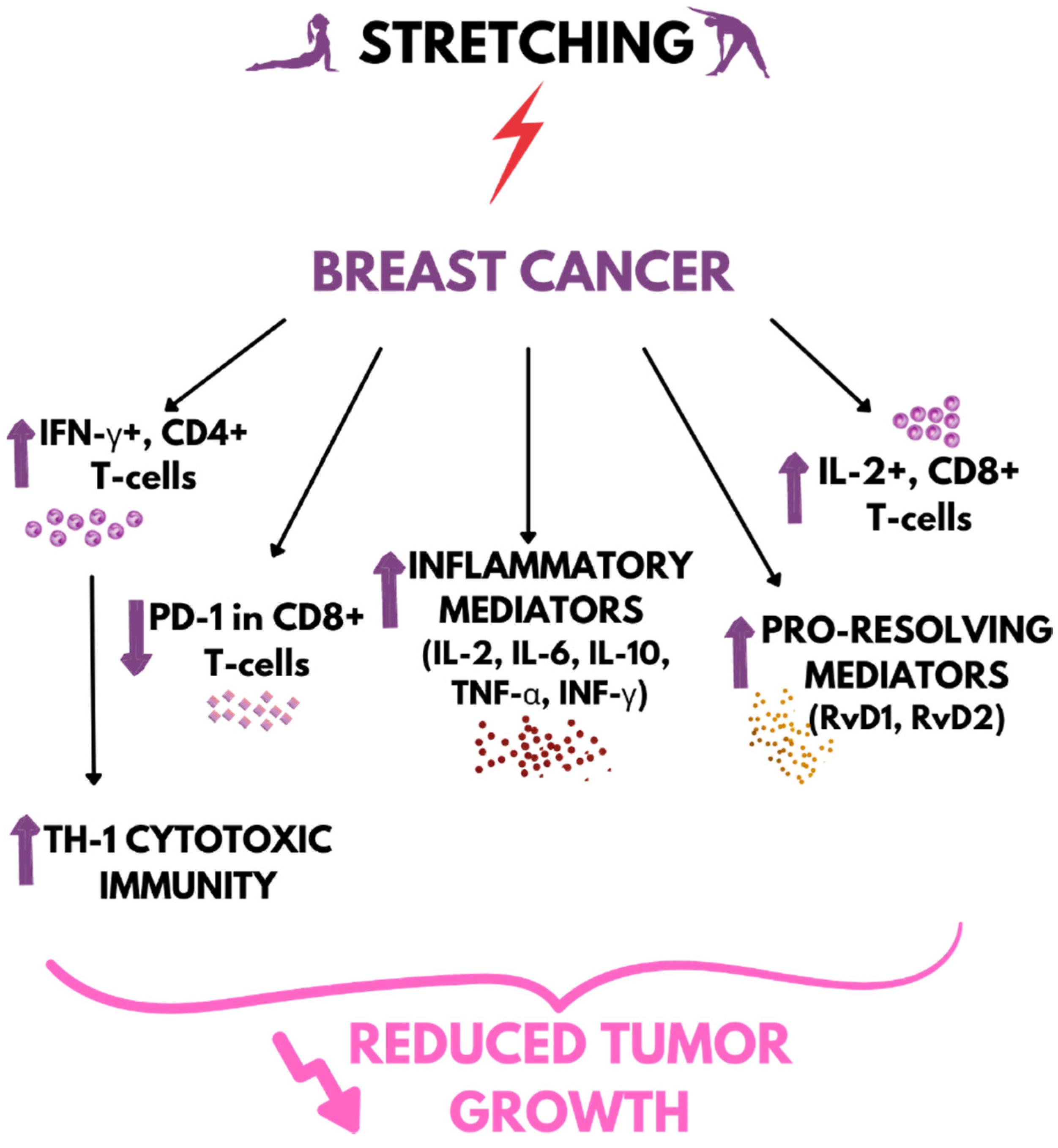 Ijms 23 10127 g002 Ijms 23 10127 g002