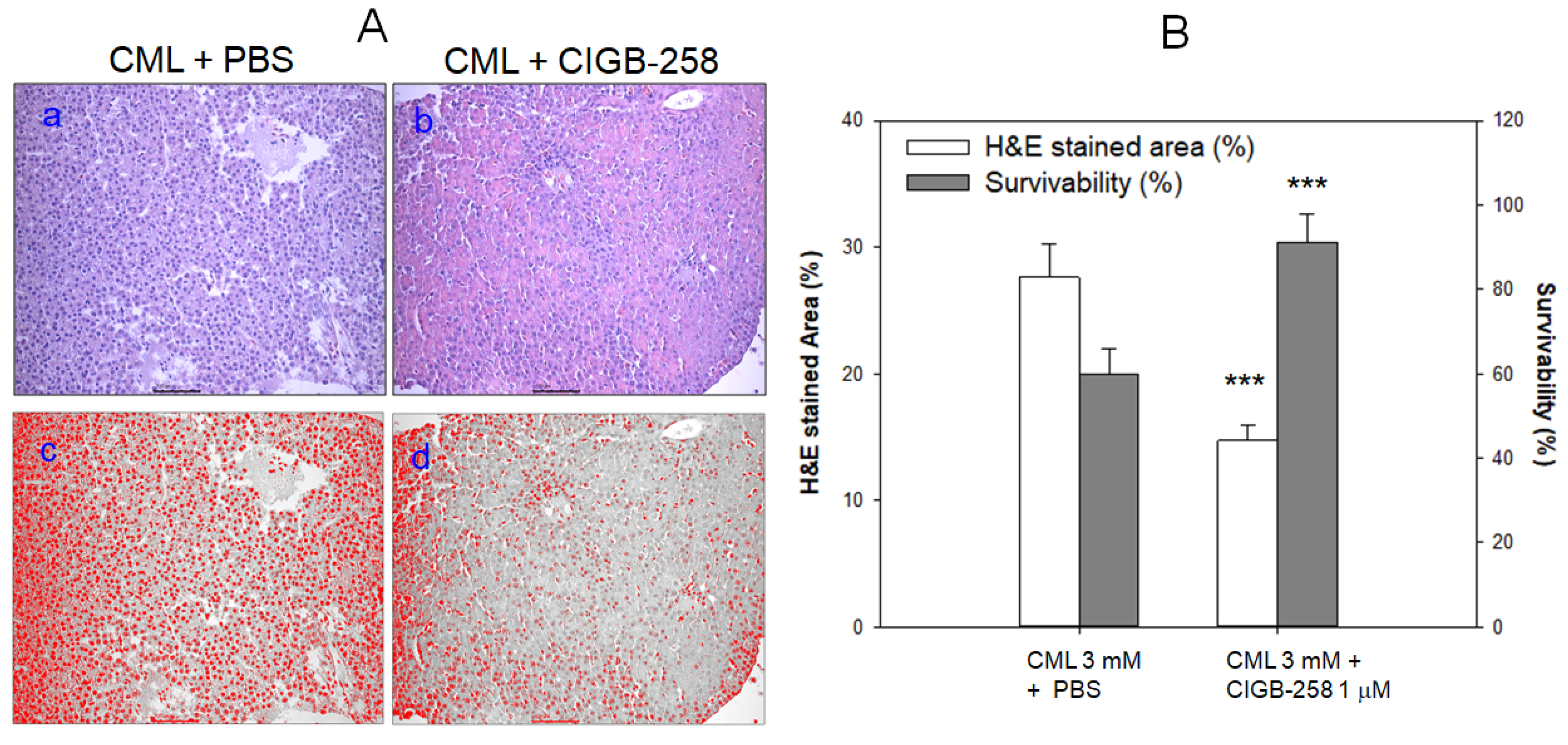 【SALE／55%OFF】 Anti-Inflammatory Activity Acute against CIGB-258 of サプリメント