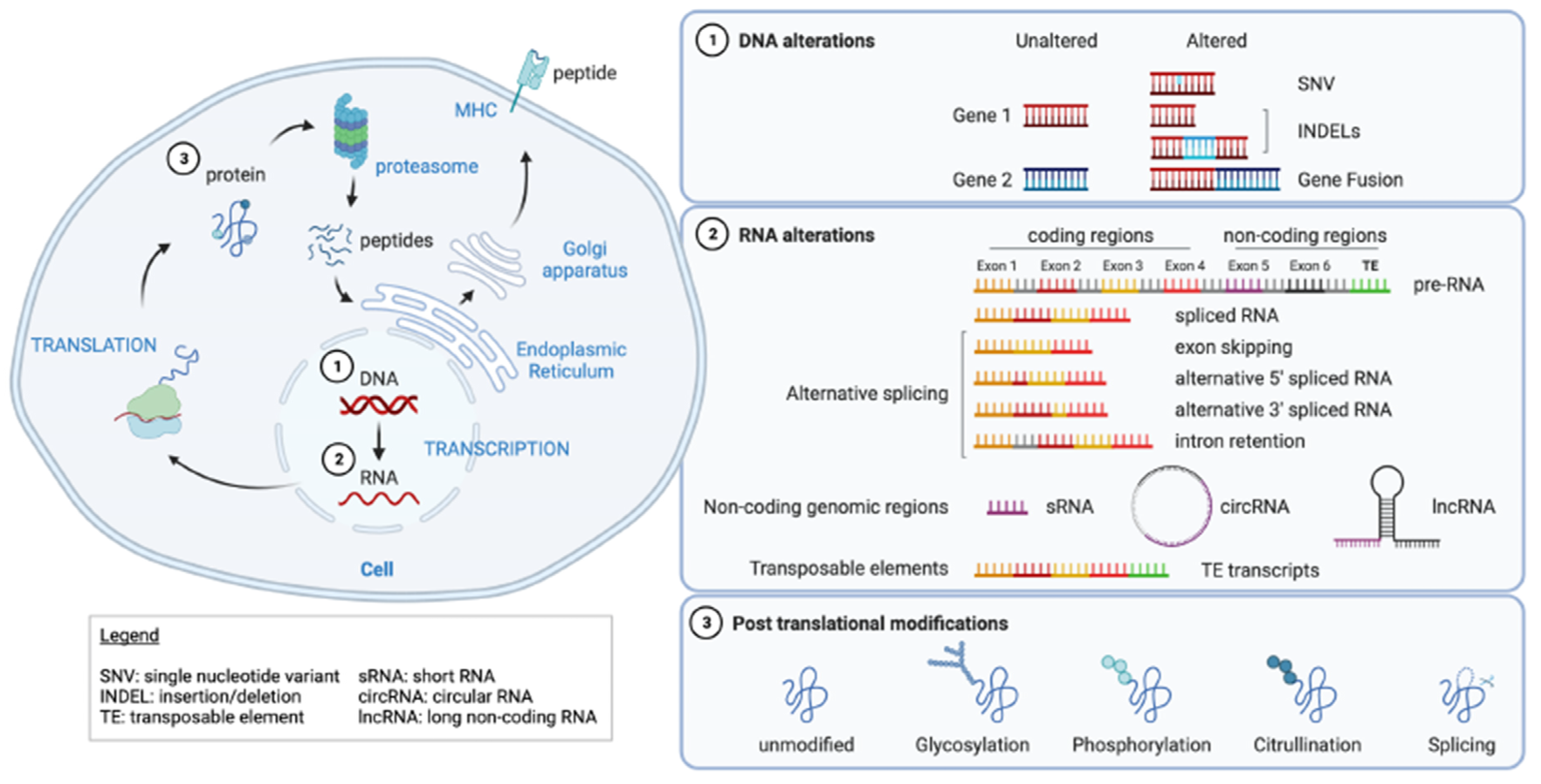 Ijms 23 10131 g001 550