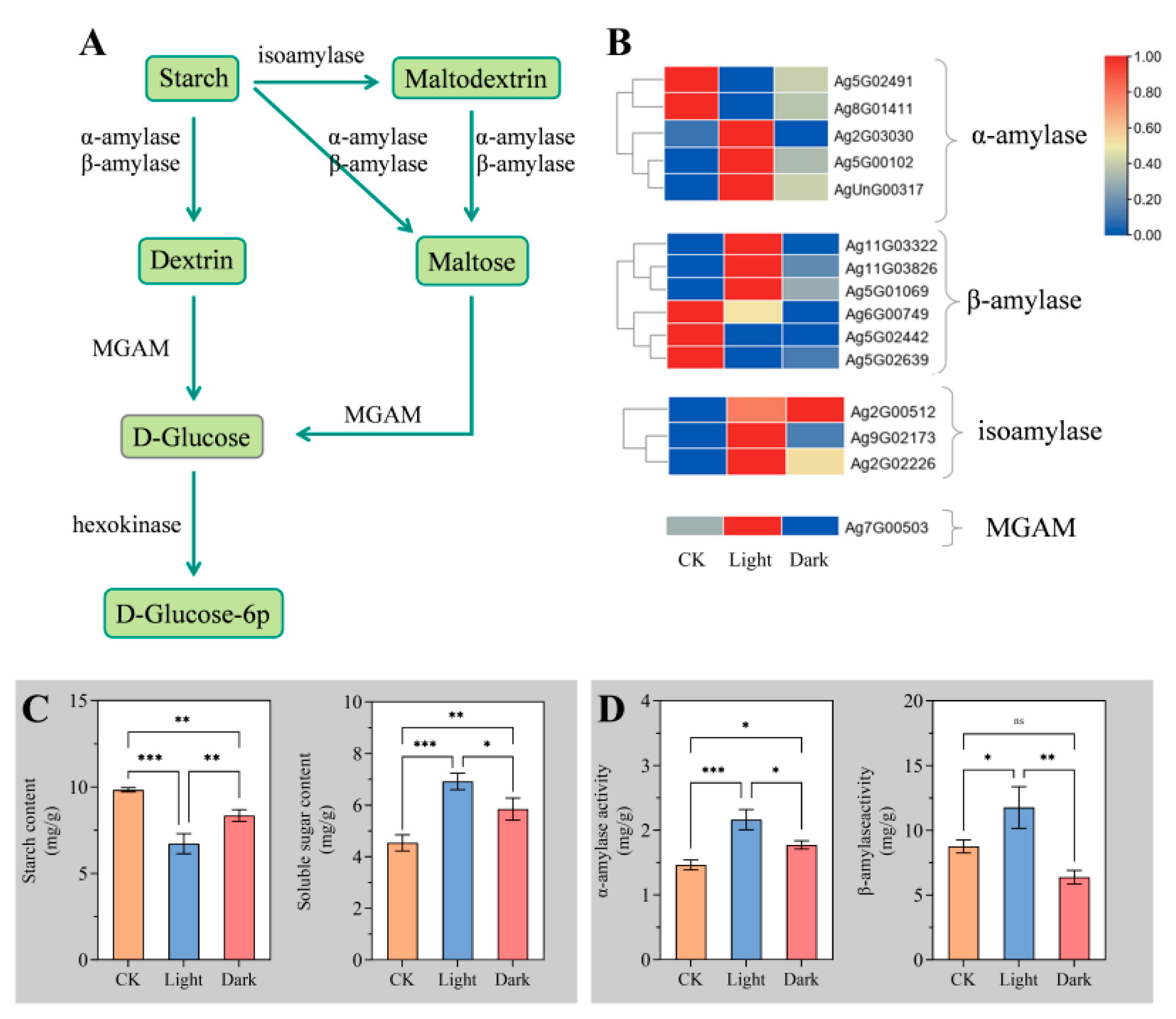 Ijms 23 10140 g005 550
