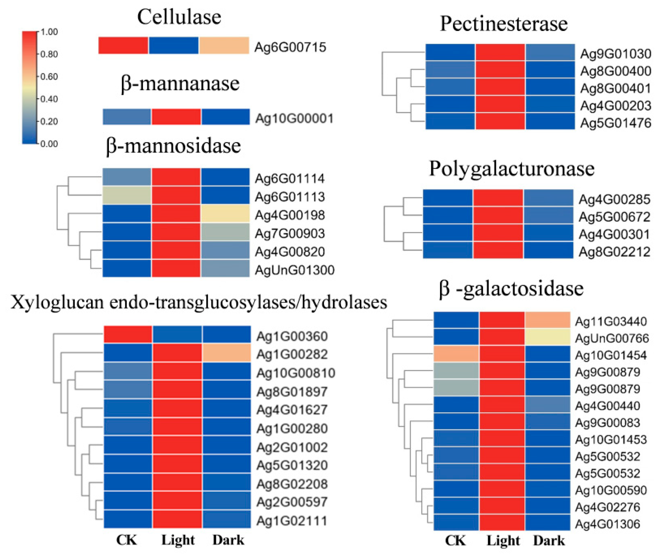 Ijms 23 10140 g006 550