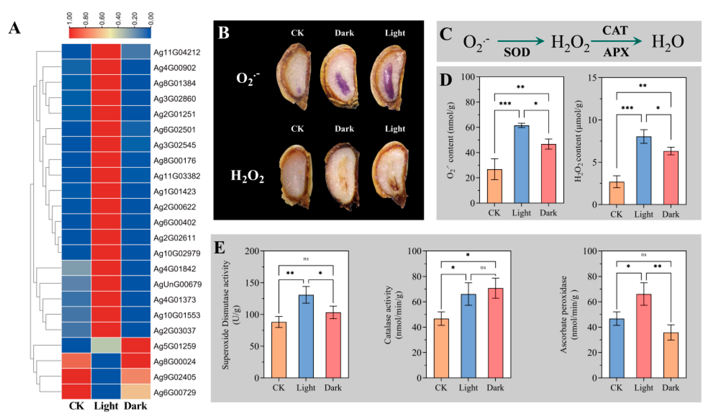 Ijms 23 10140 g007 550