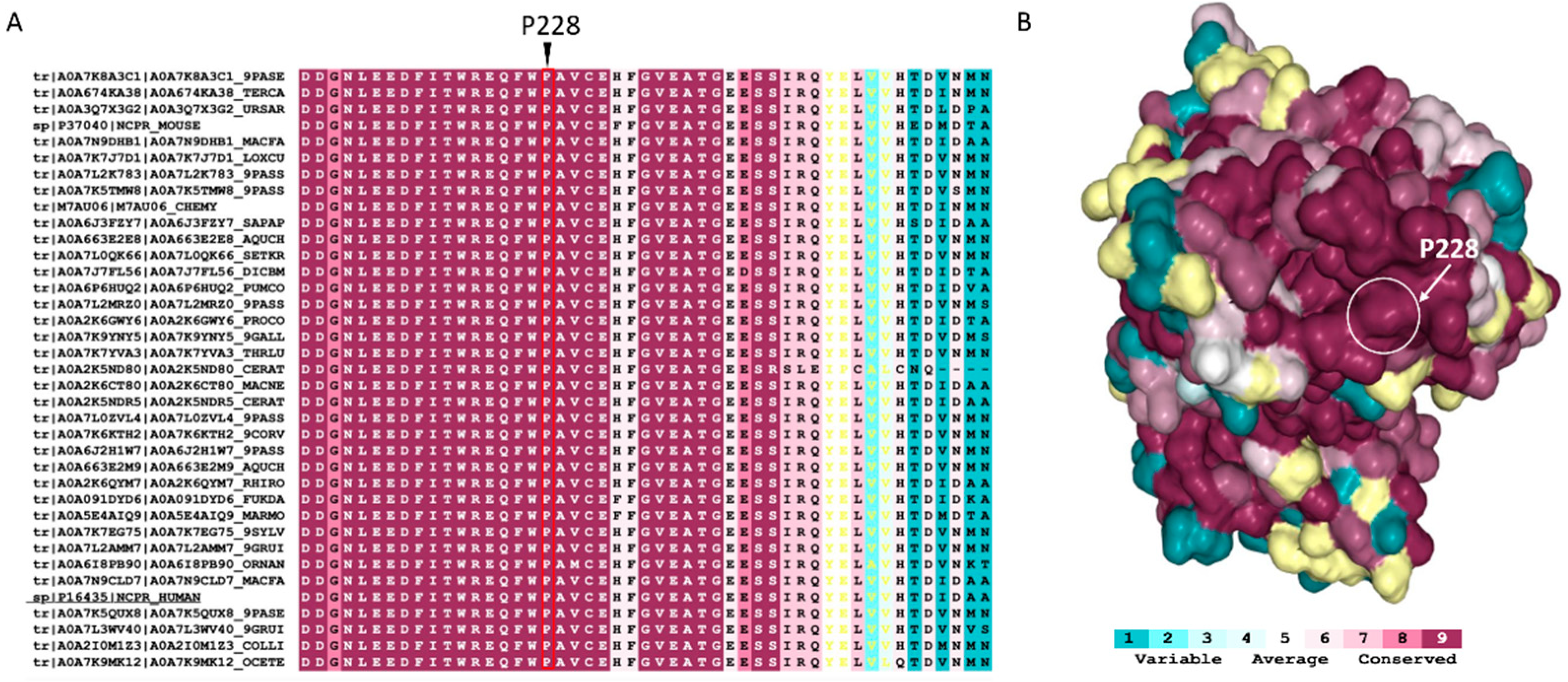 Ijms 23 10141 g003 Ijms 23 10141 g003