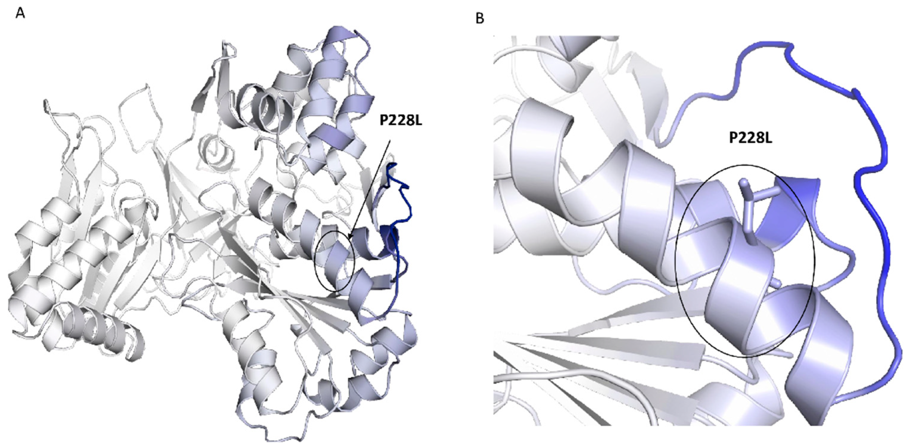 Ijms 23 10141 g004 Ijms 23 10141 g004
