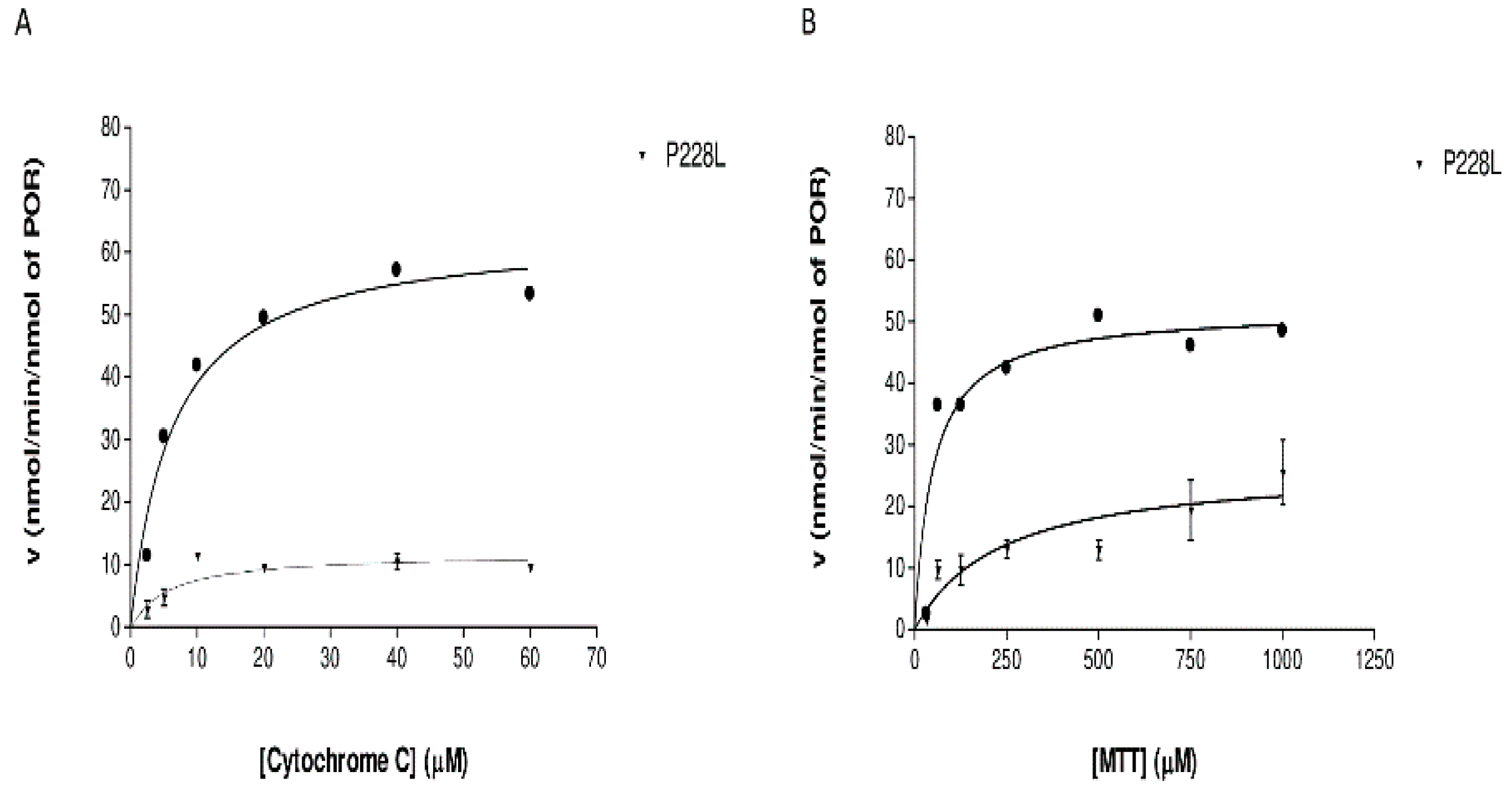 Ijms 23 10141 g006 Ijms 23 10141 g006
