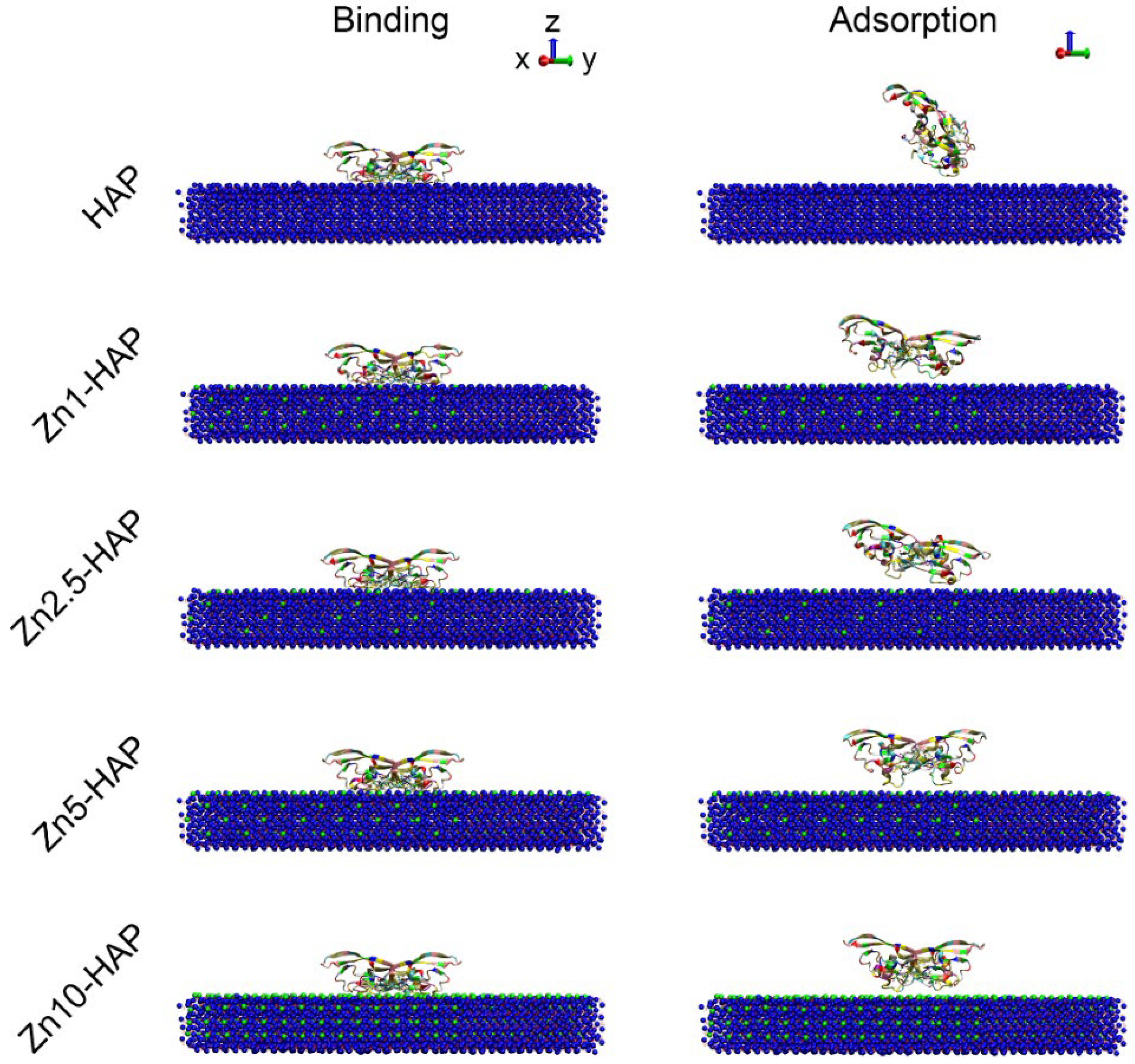 Ijms 23 10144 g002 550