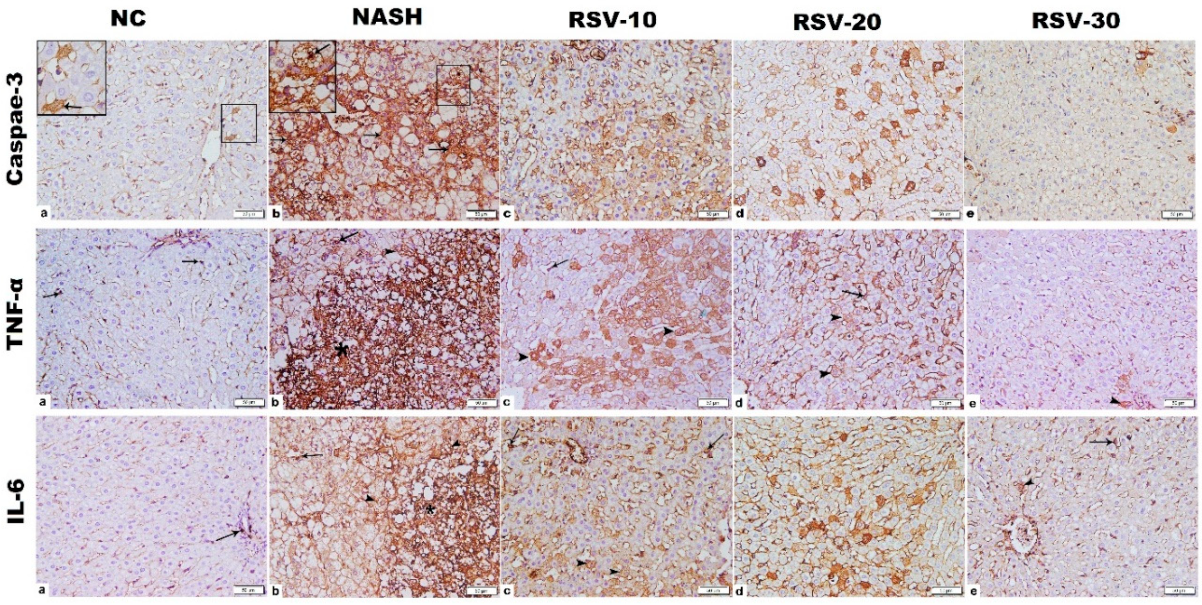 Ijms 23 10148 g005 550