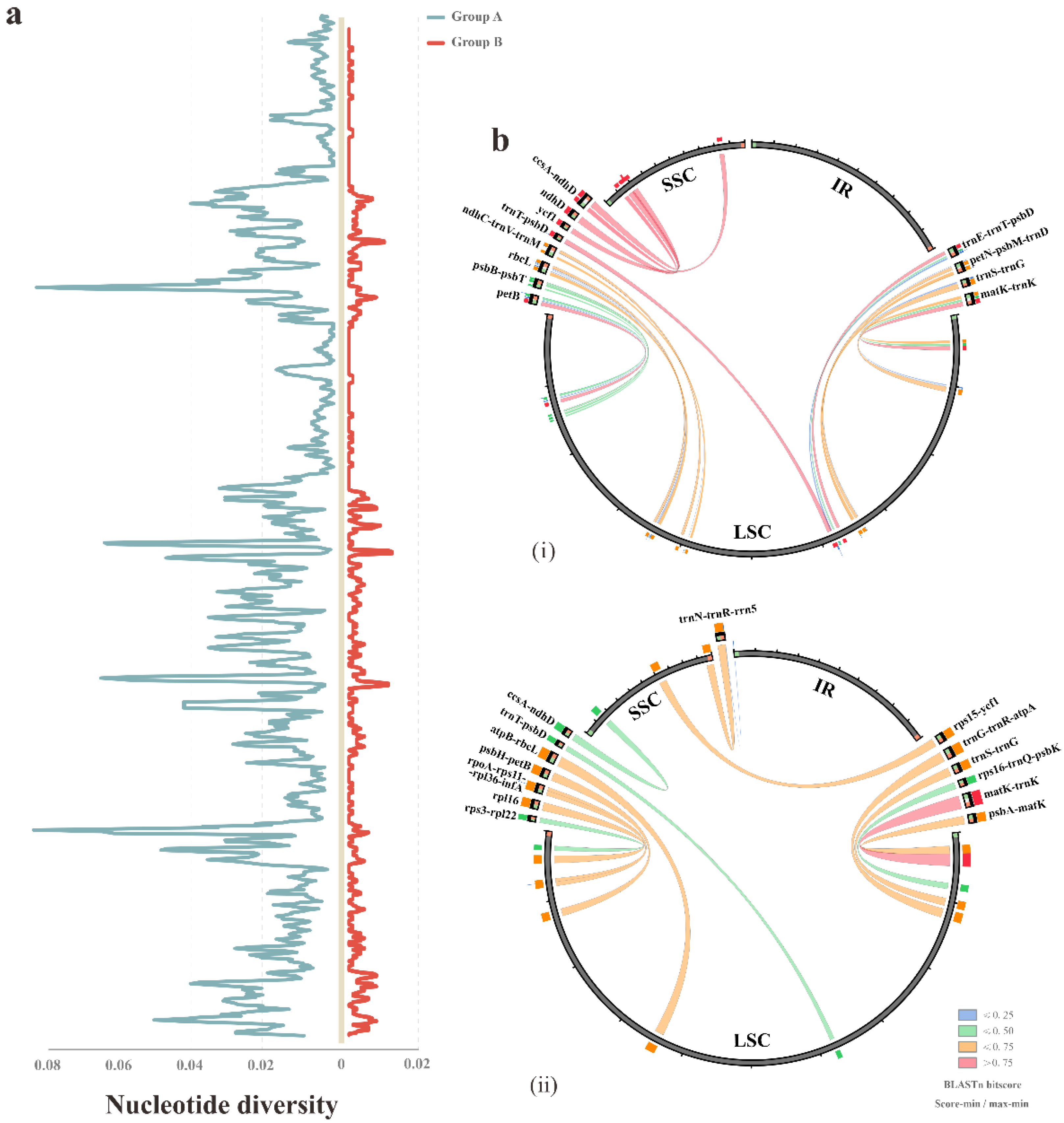 Ijms 23 10151 g003 550