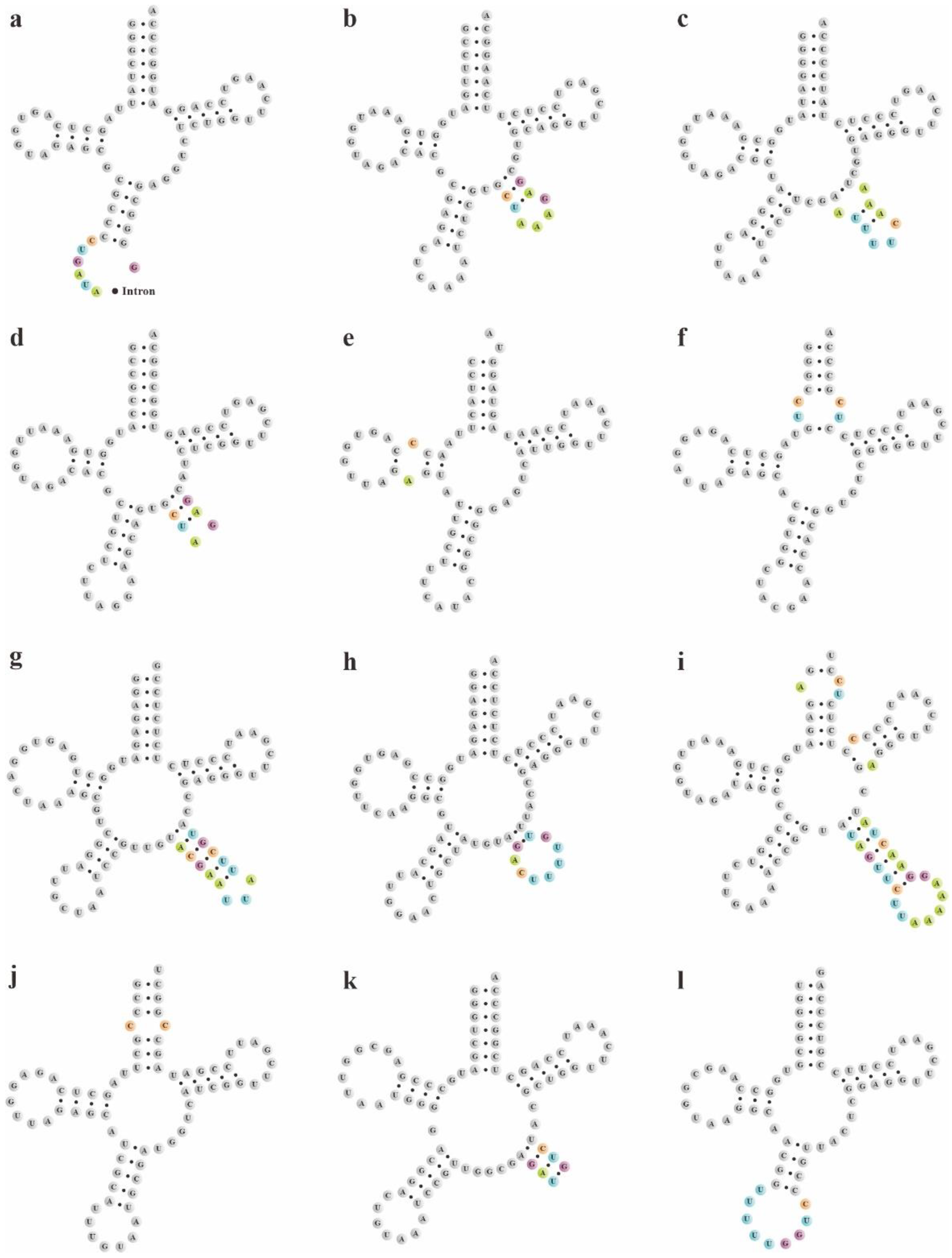 Ijms 23 10151 g004 550