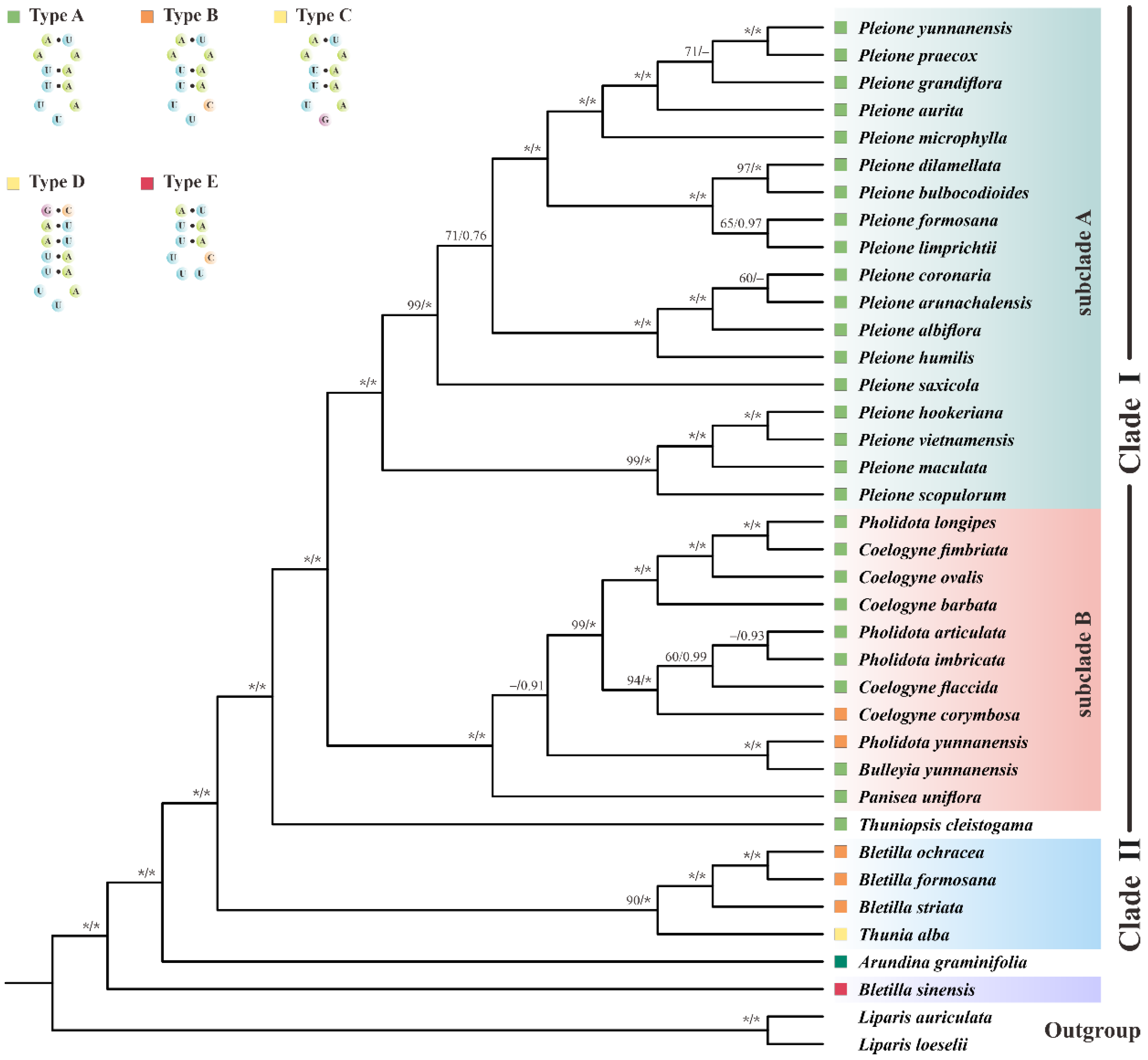 Ijms 23 10151 g007 550