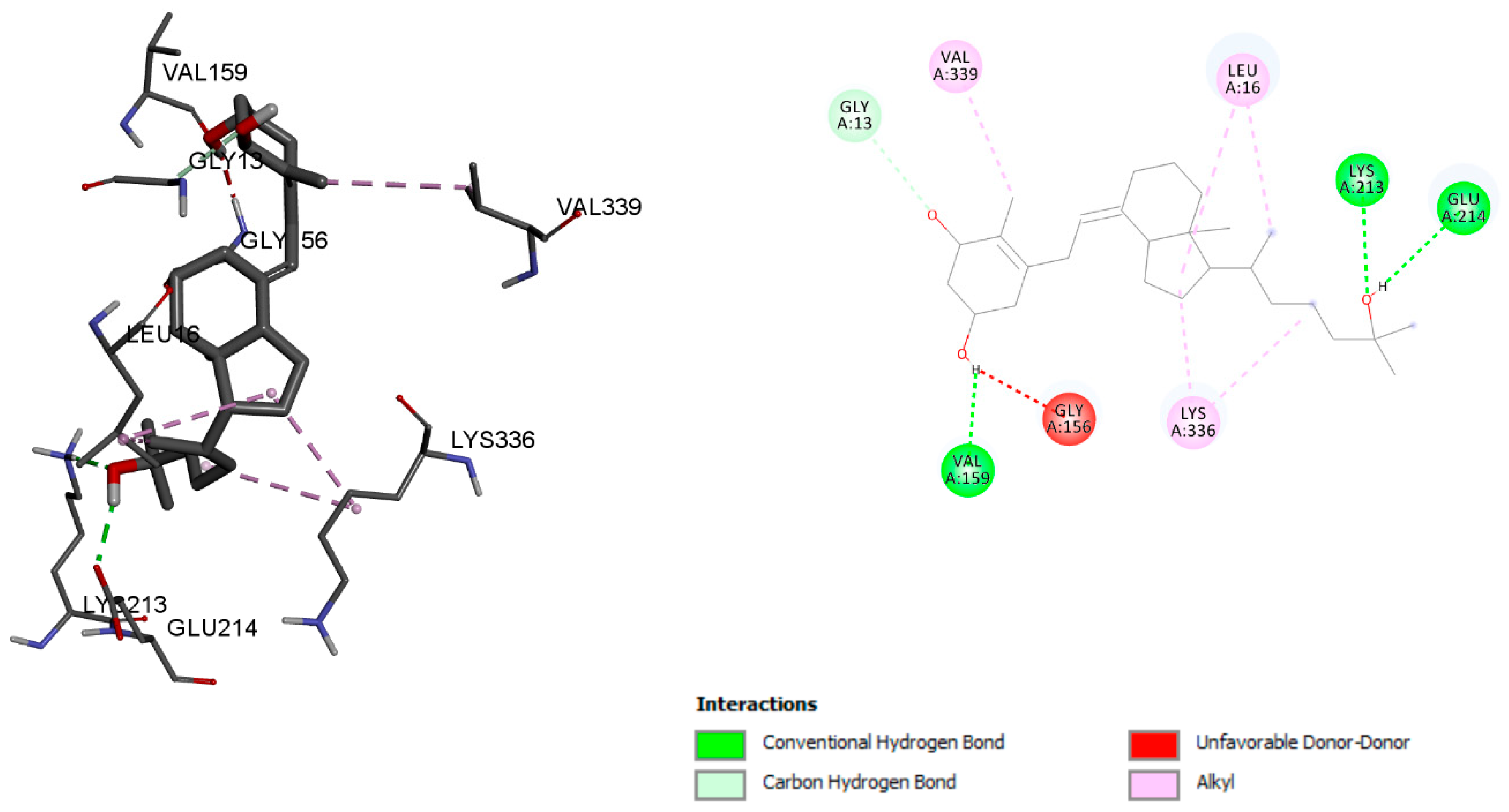Ijms 23 10154 g003 550