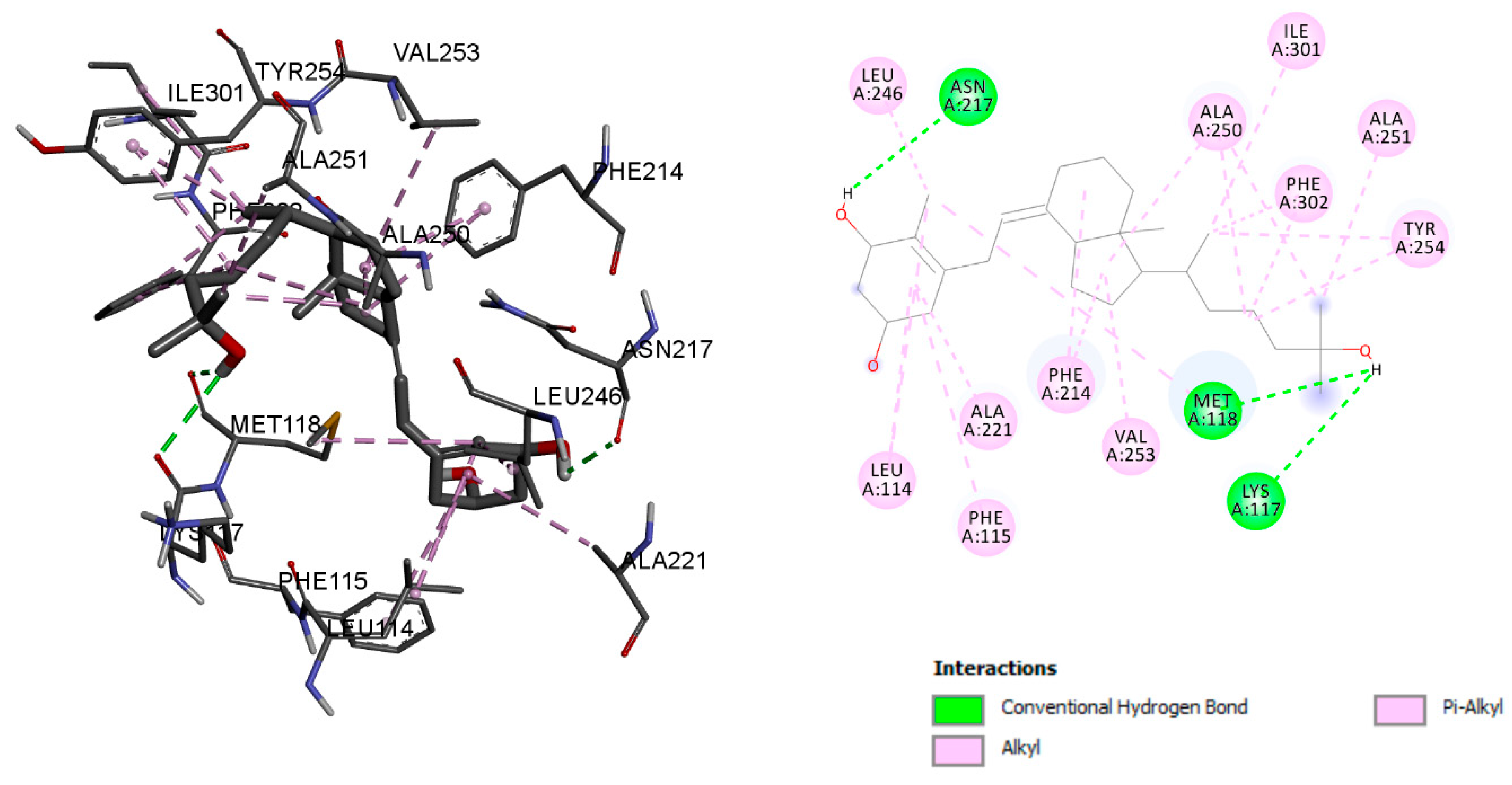 Ijms 23 10154 g007 550