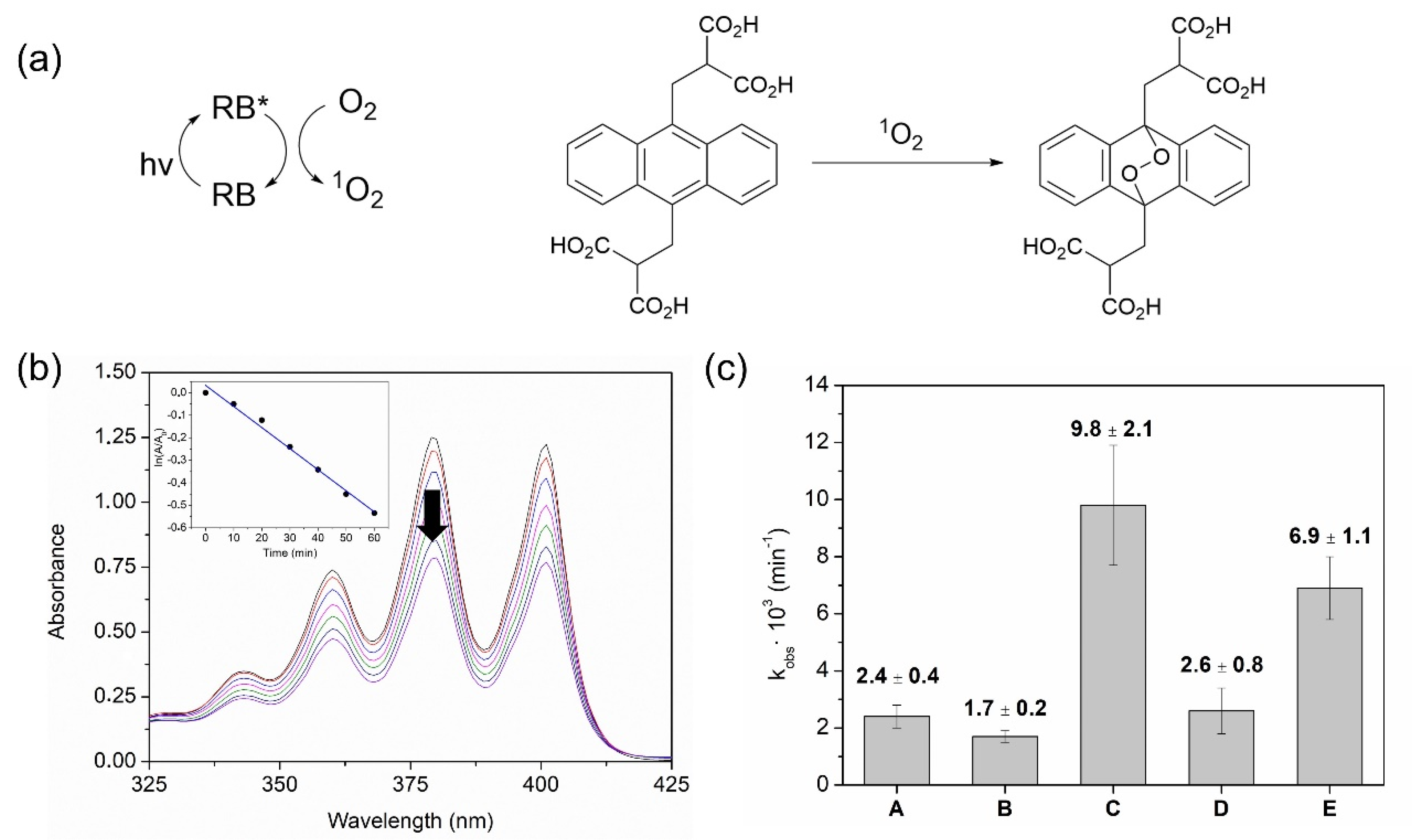 Ijms 23 10162 g003 550