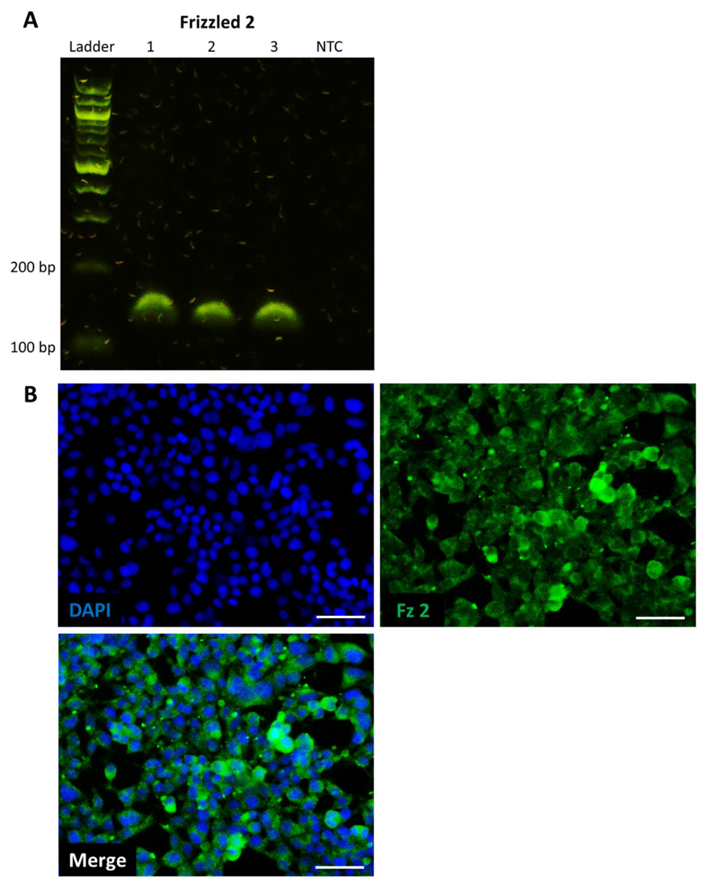 Ijms 23 10164 g001 550
