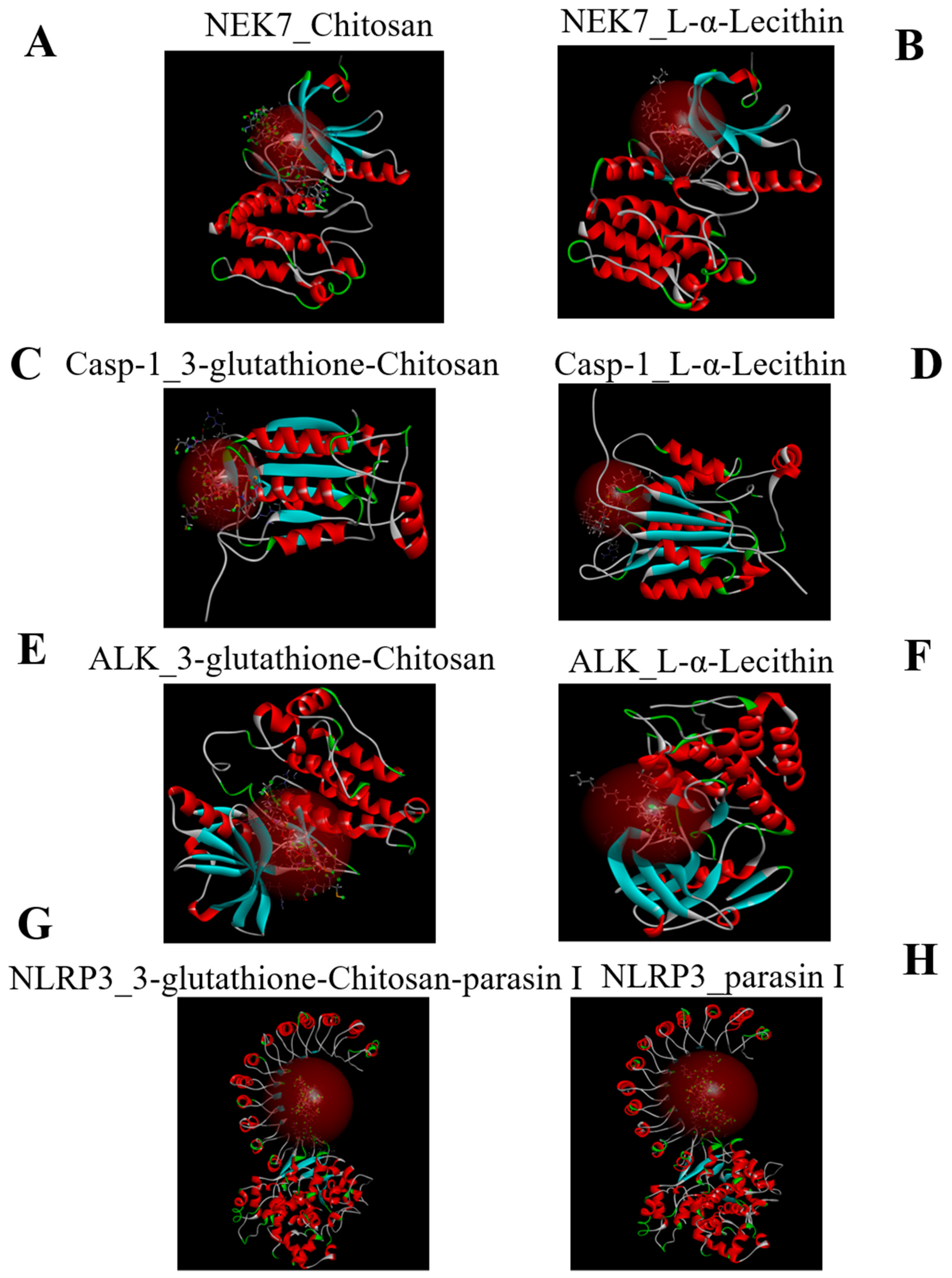 Ijms 23 10168 g001 550