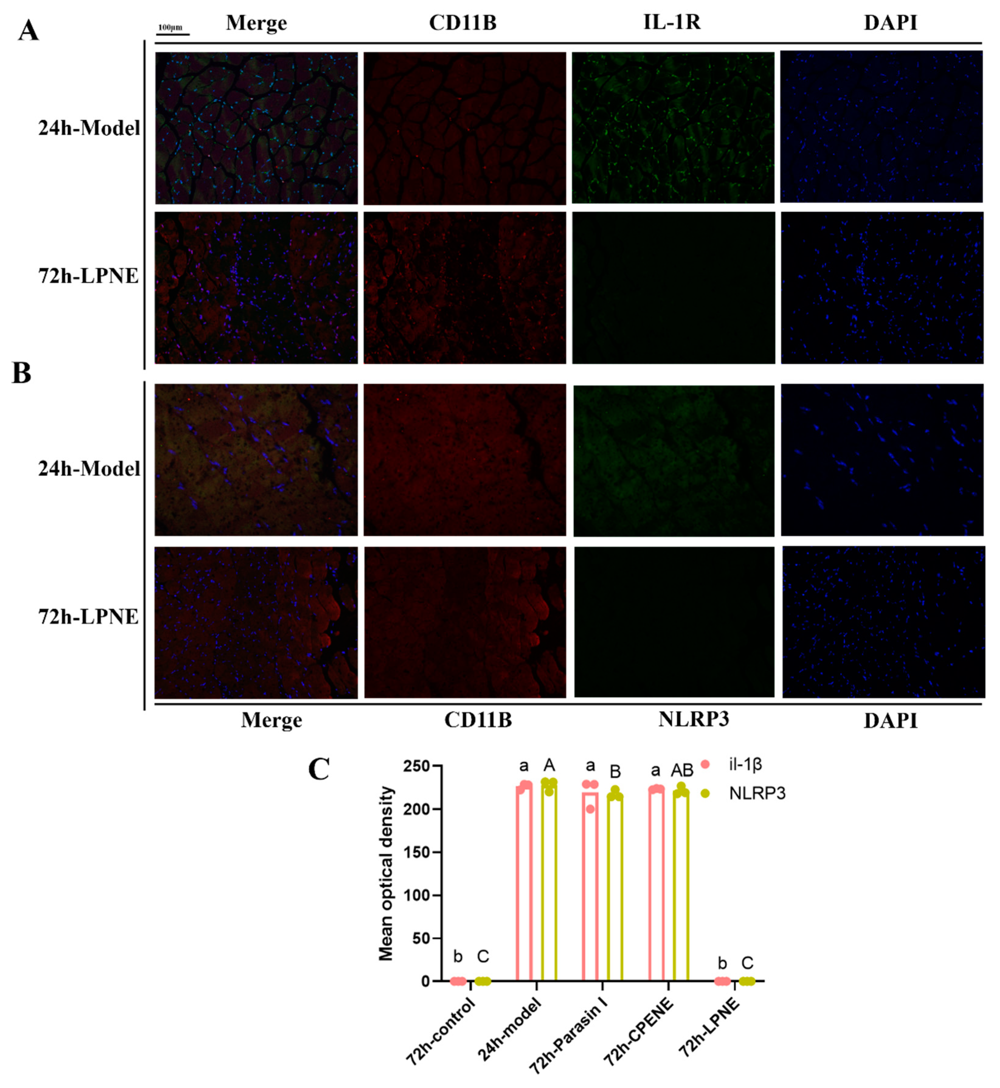 Ijms 23 10168 g006 550