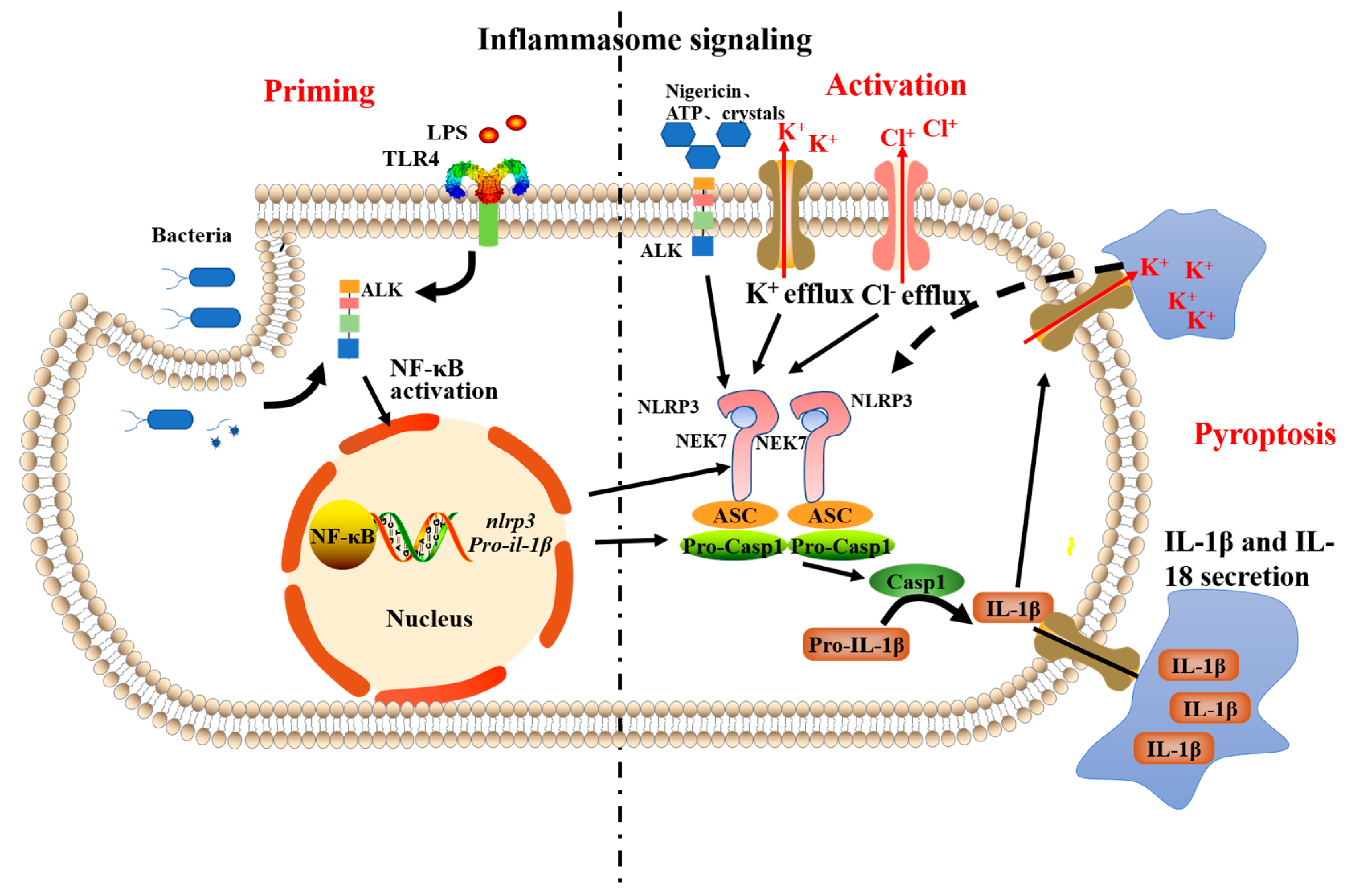 Ijms 23 10168 sch001 550