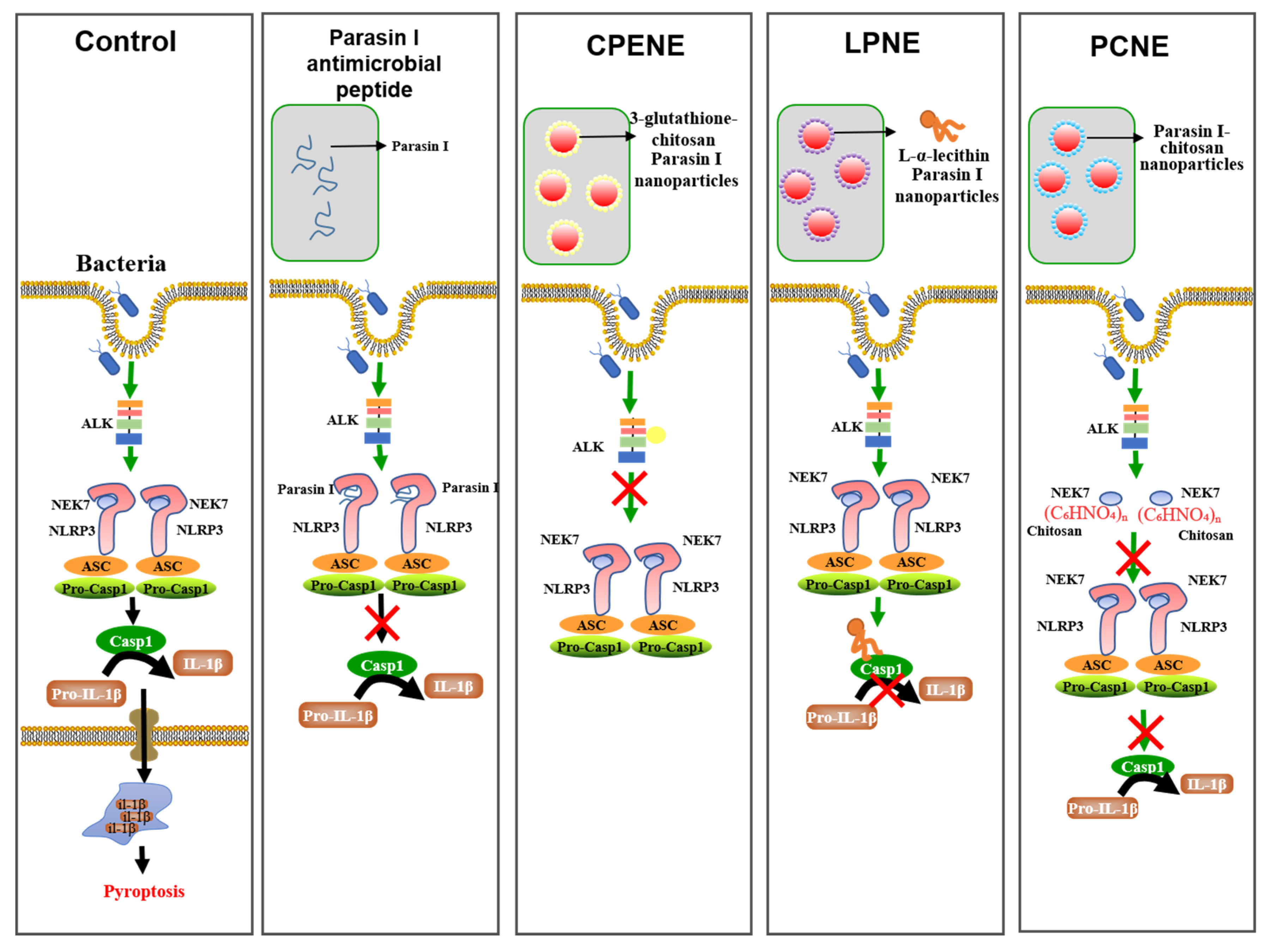 Ijms 23 10168 sch002 550