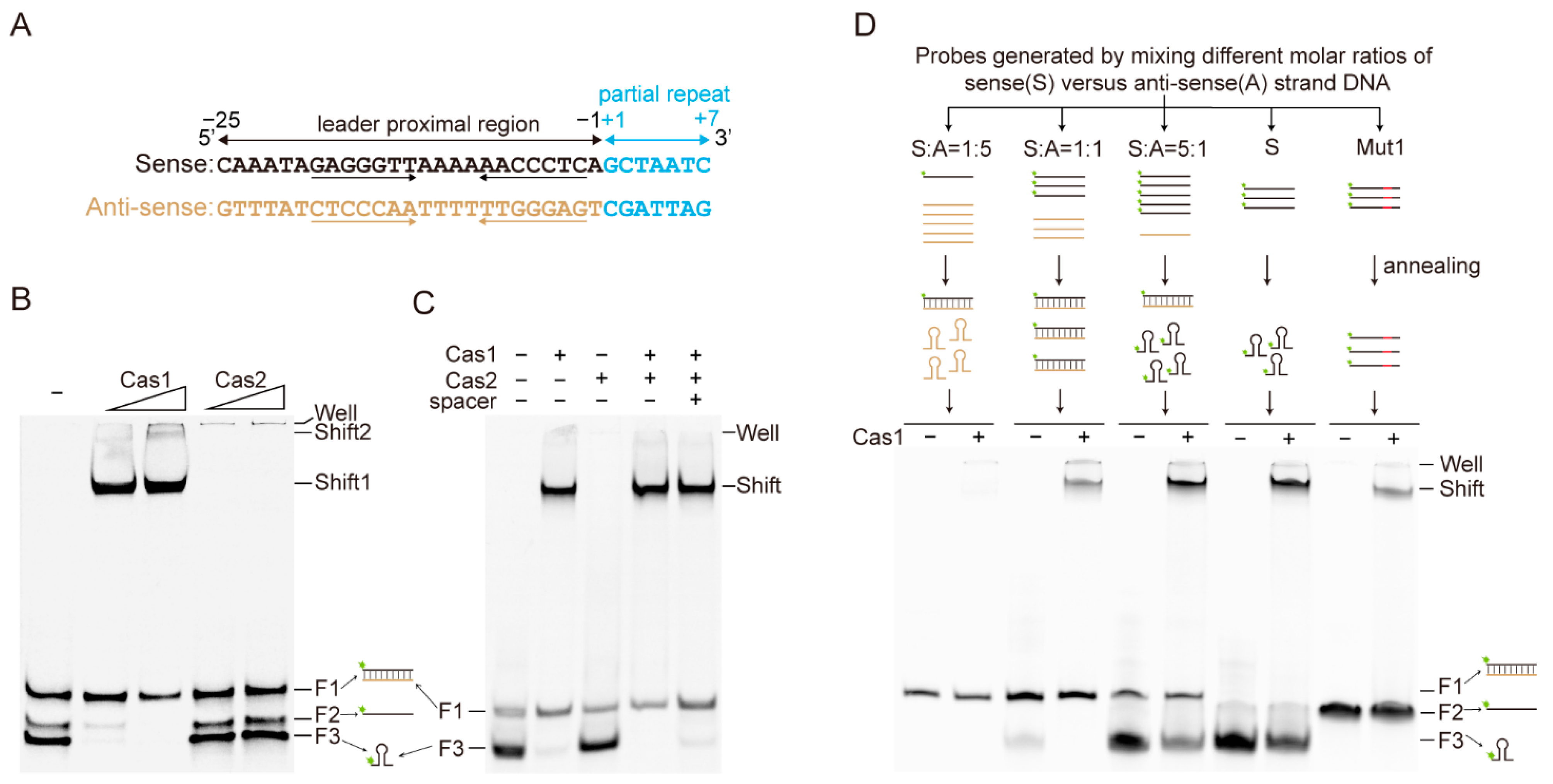 Ijms 23 10178 g002 550