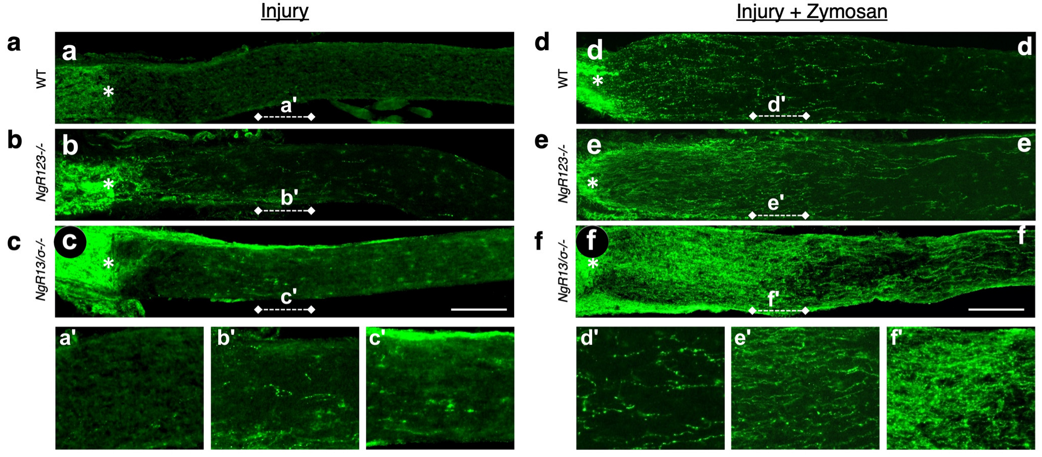 Ijms 23 10179 g004 550