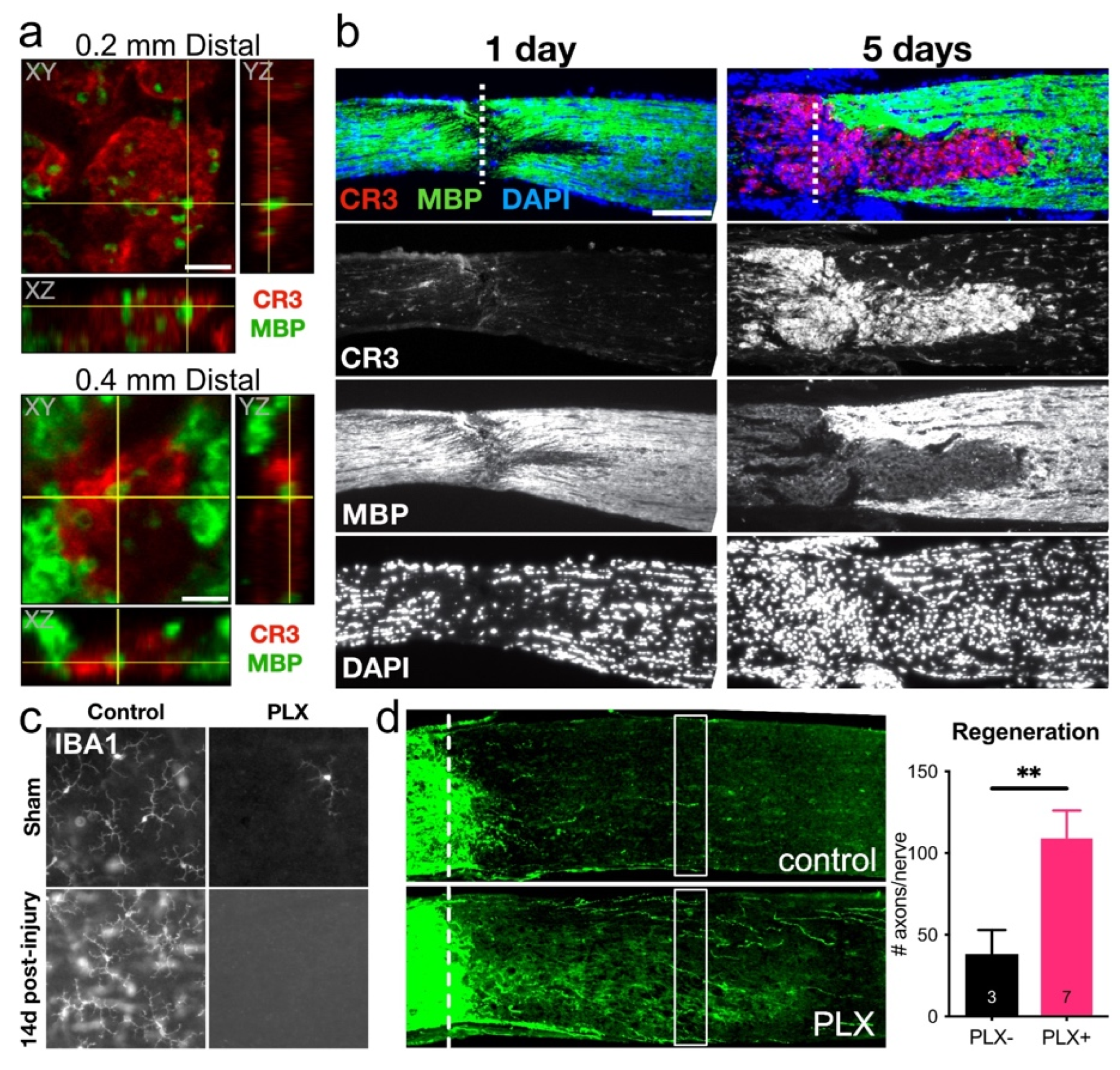 Ijms 23 10179 g006 550