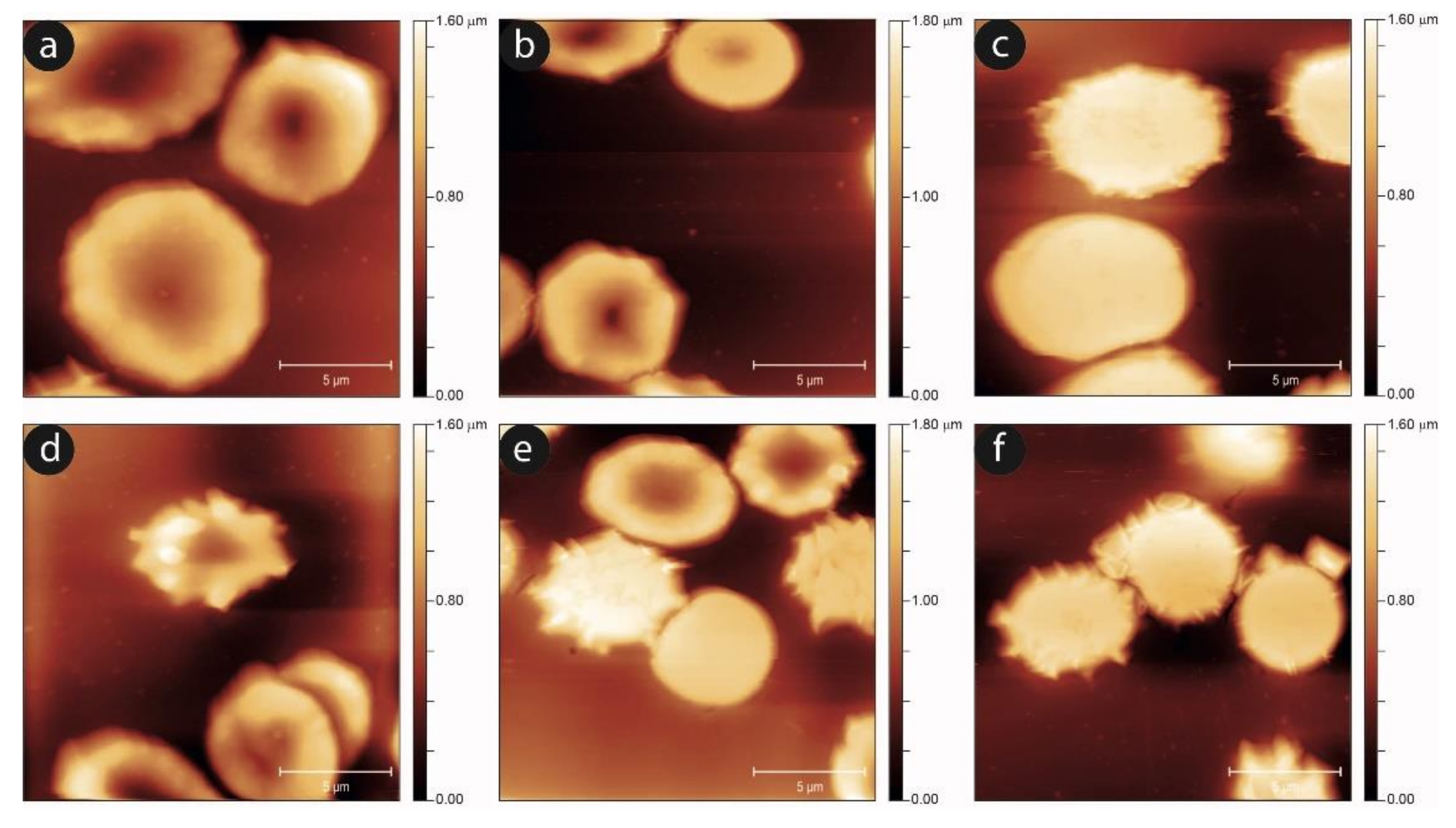 Ijms 23 10180 g007 550