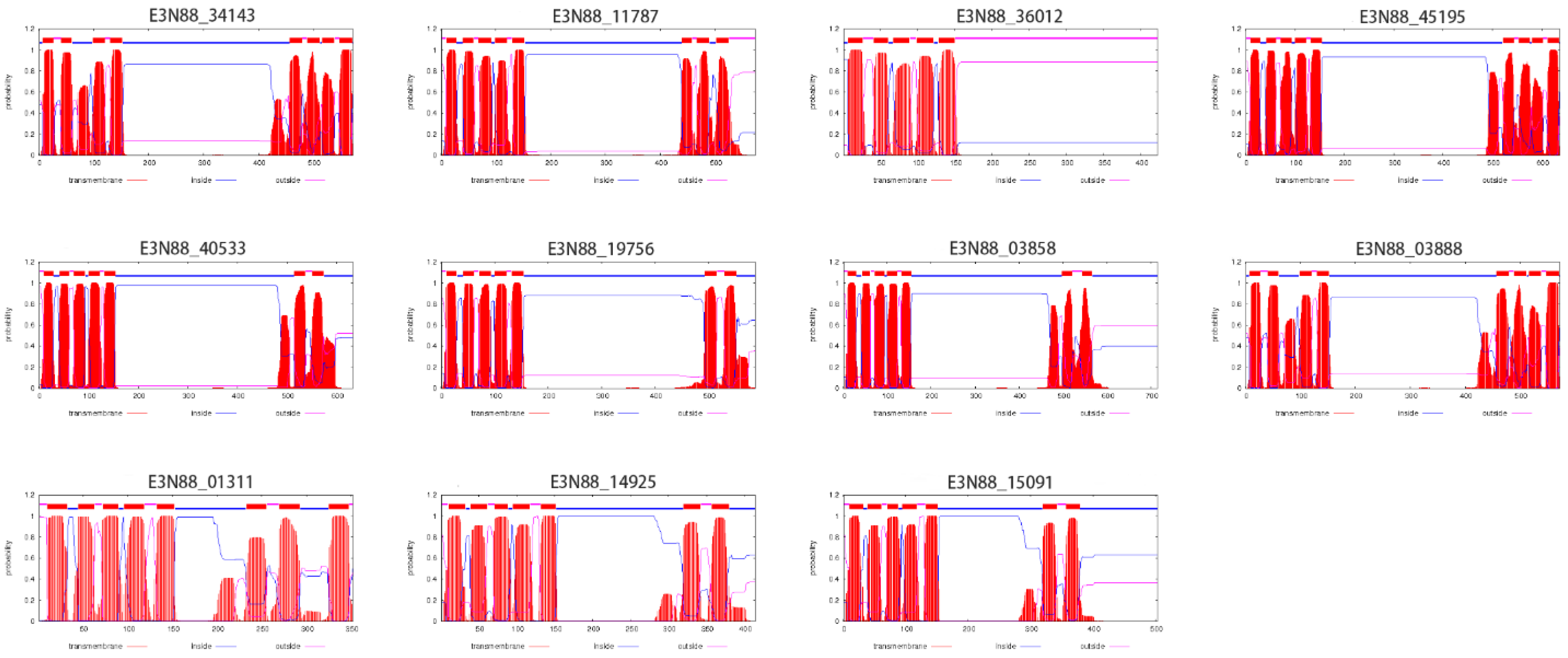 Ijms 23 10183 g004 550