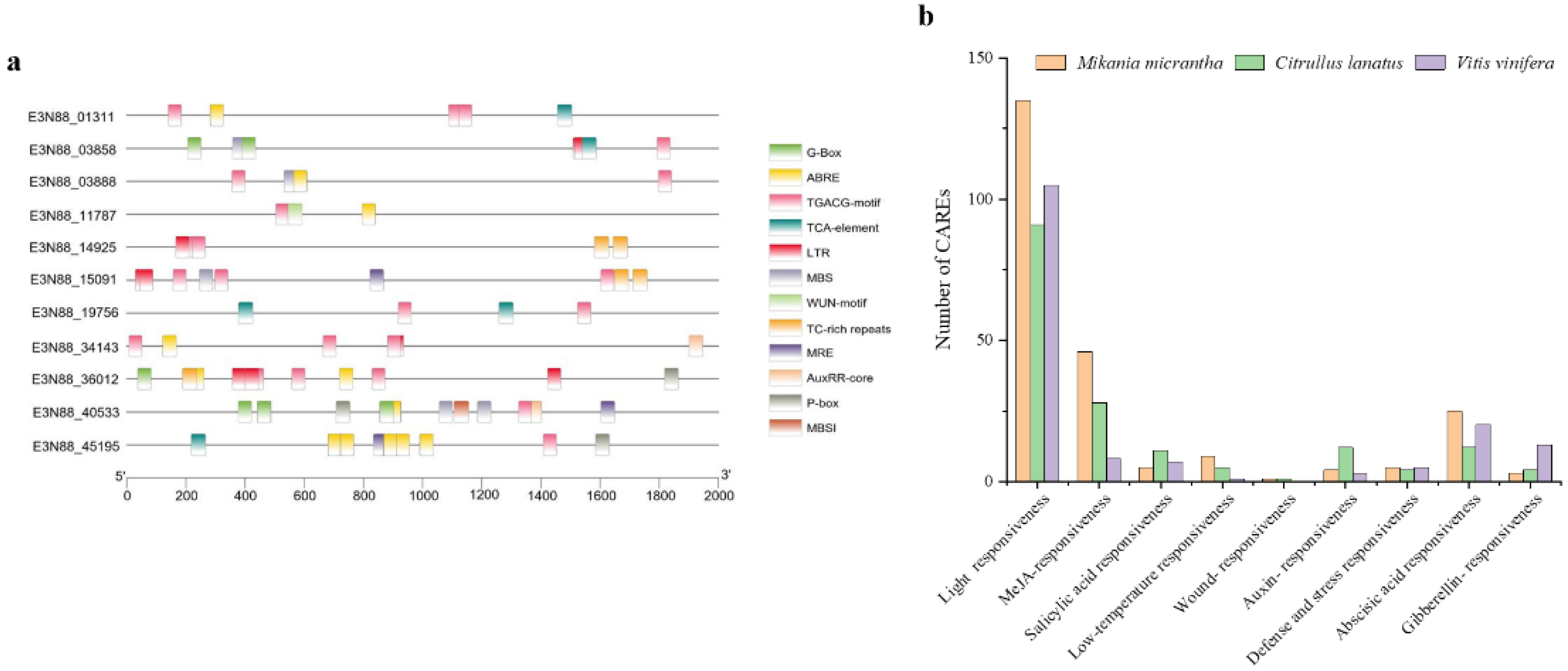 Ijms 23 10183 g007 550