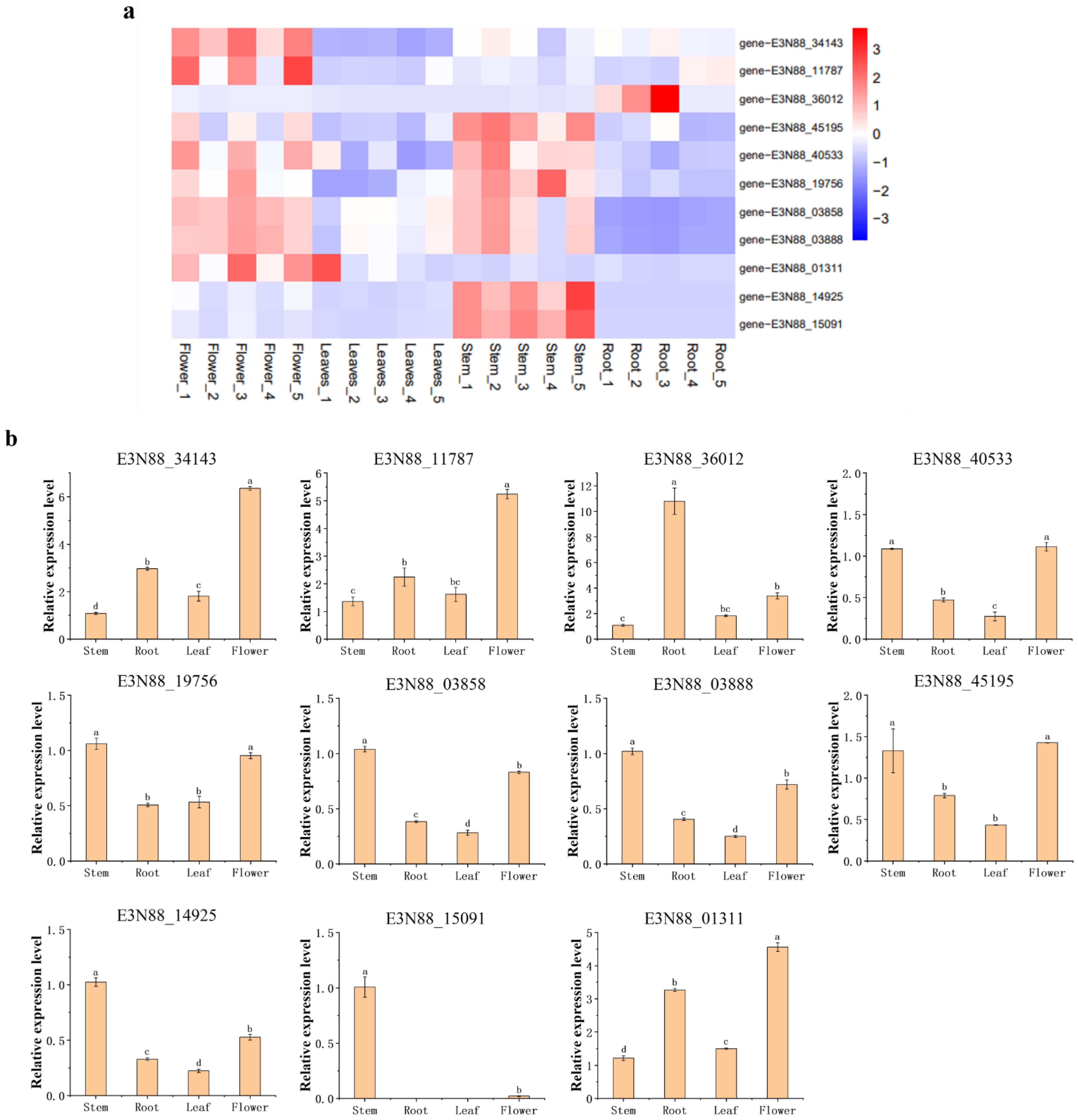 Ijms 23 10183 g008 550