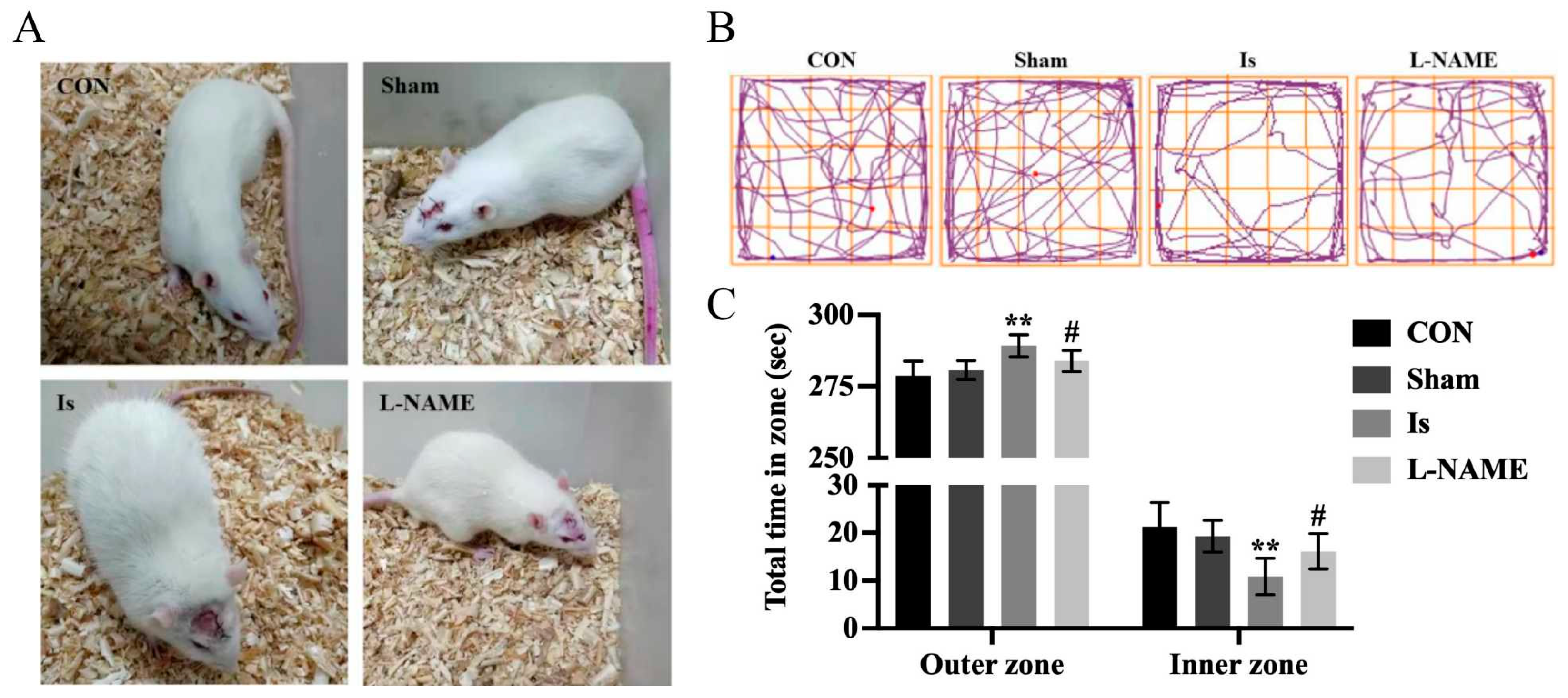 Ijms 23 10188 g001 550