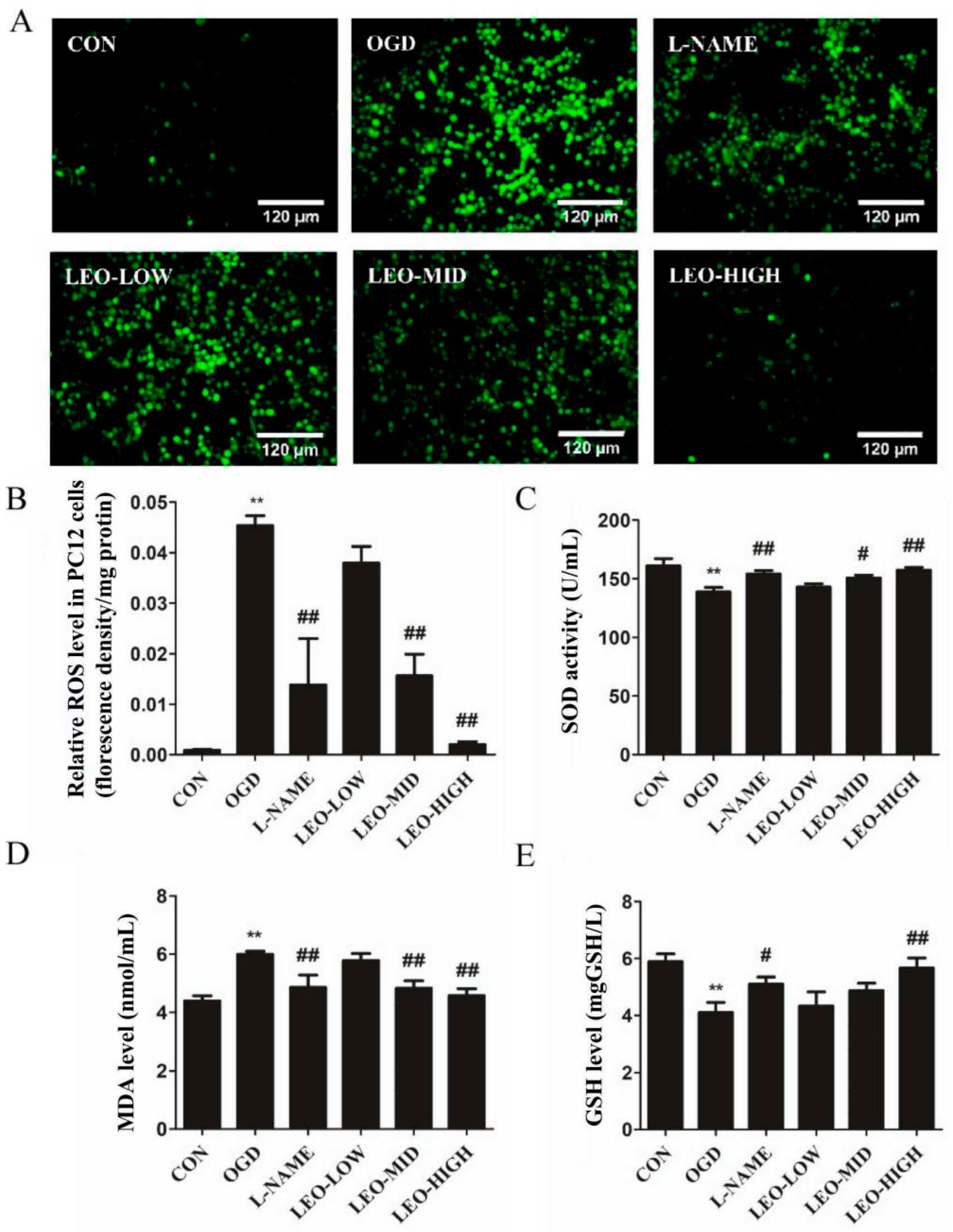 Ijms 23 10188 g006 550