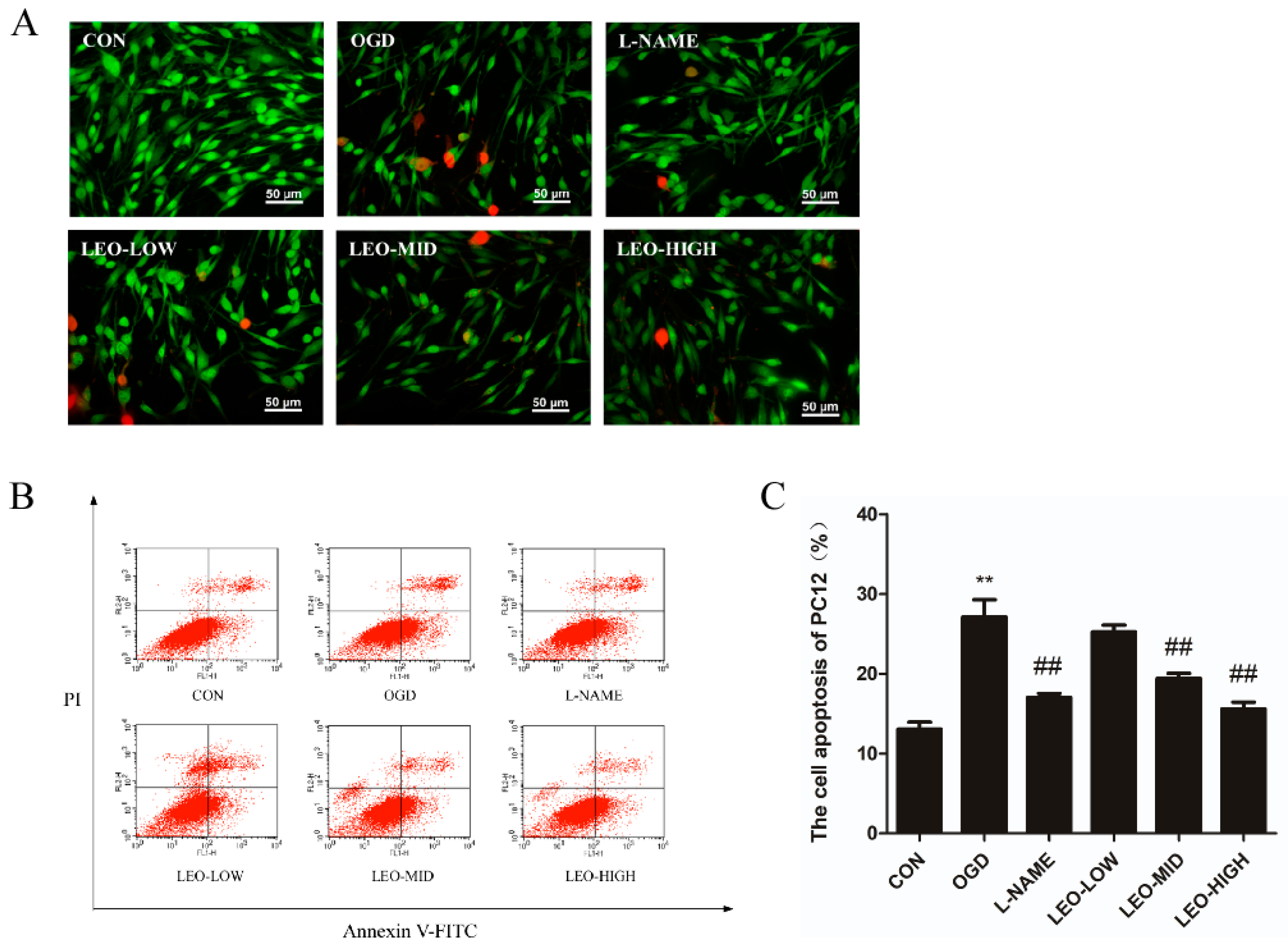Ijms 23 10188 g008 550