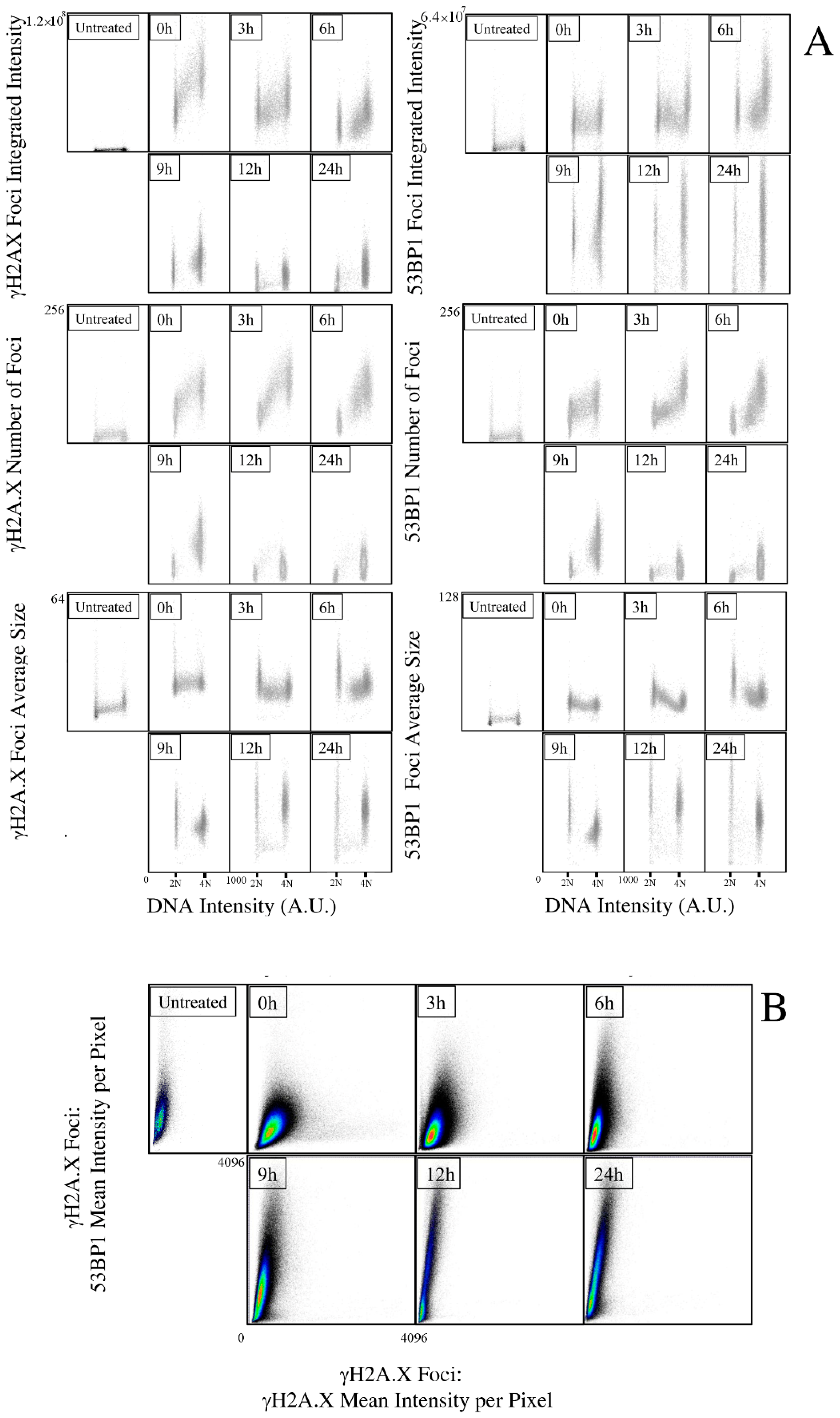 Ijms 23 10193 g002 550