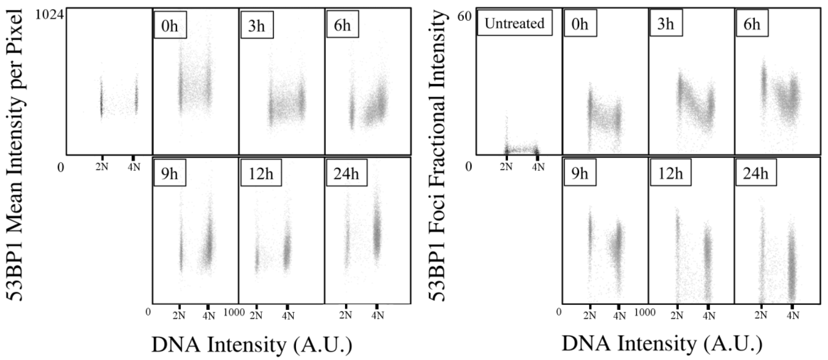 Ijms 23 10193 g003 550