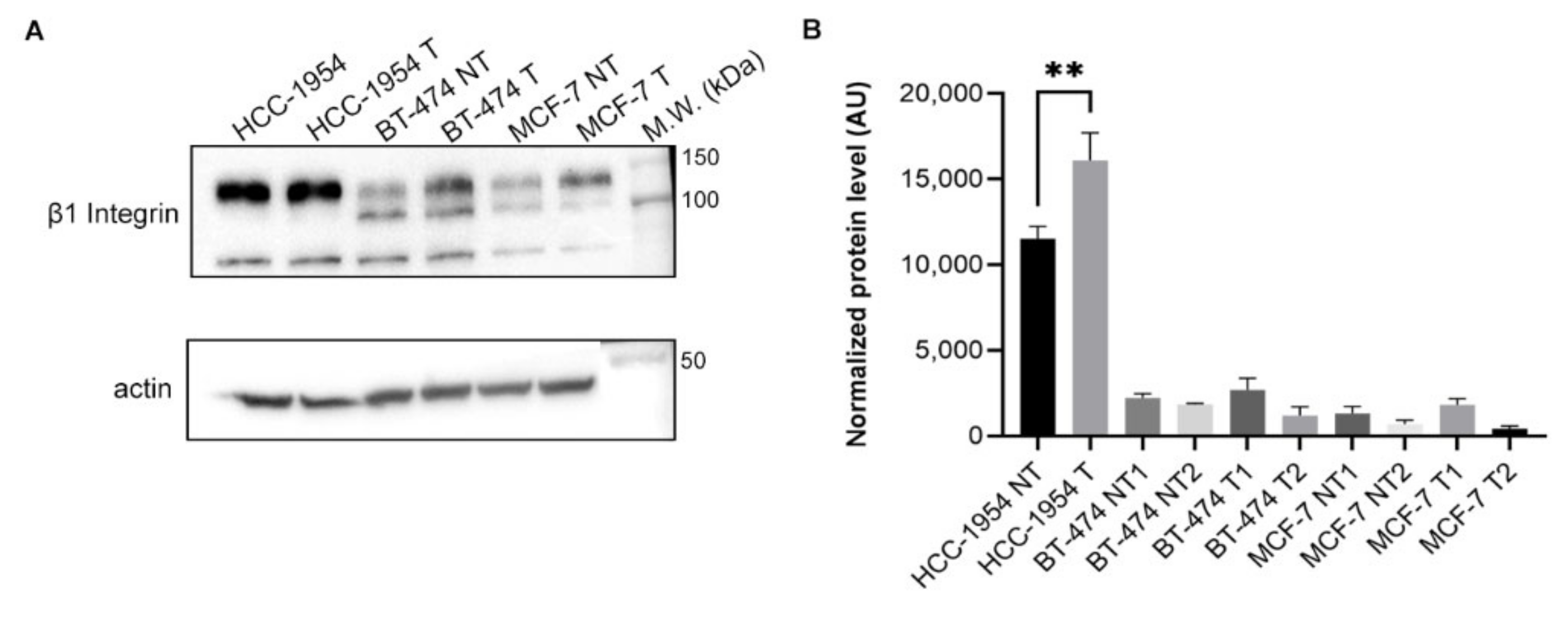 Ijms 23 10194 g005 550