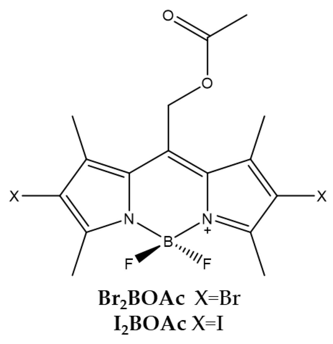 Ijms 23 10198 g005 550