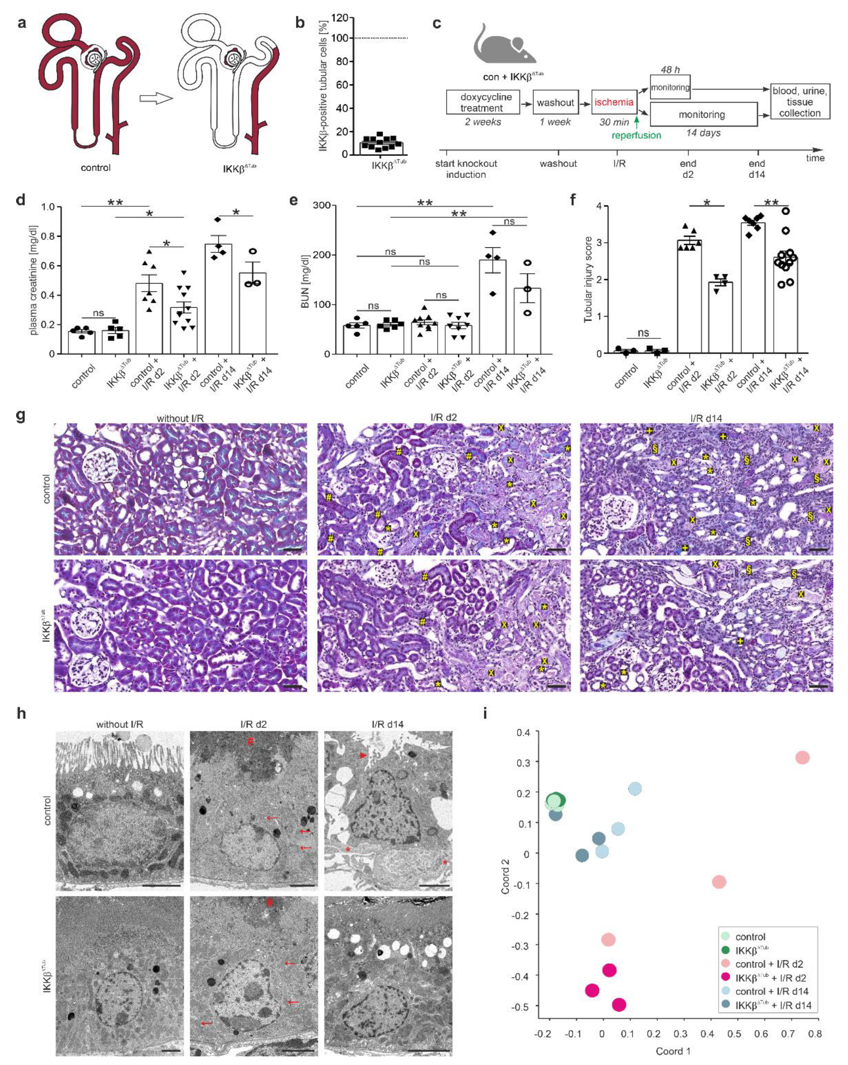 Ijms 23 10199 g001 550