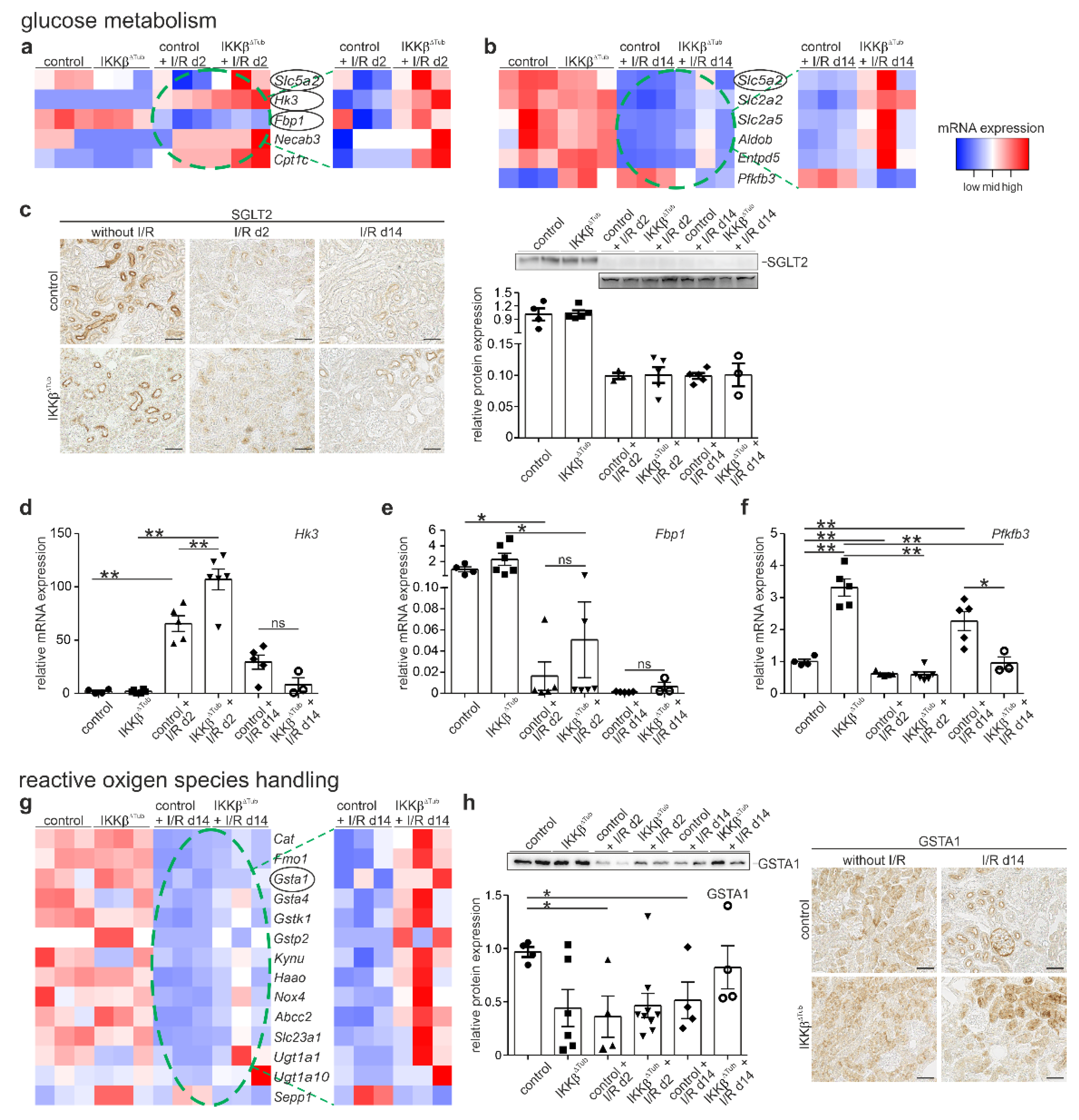 Ijms 23 10199 g004 550