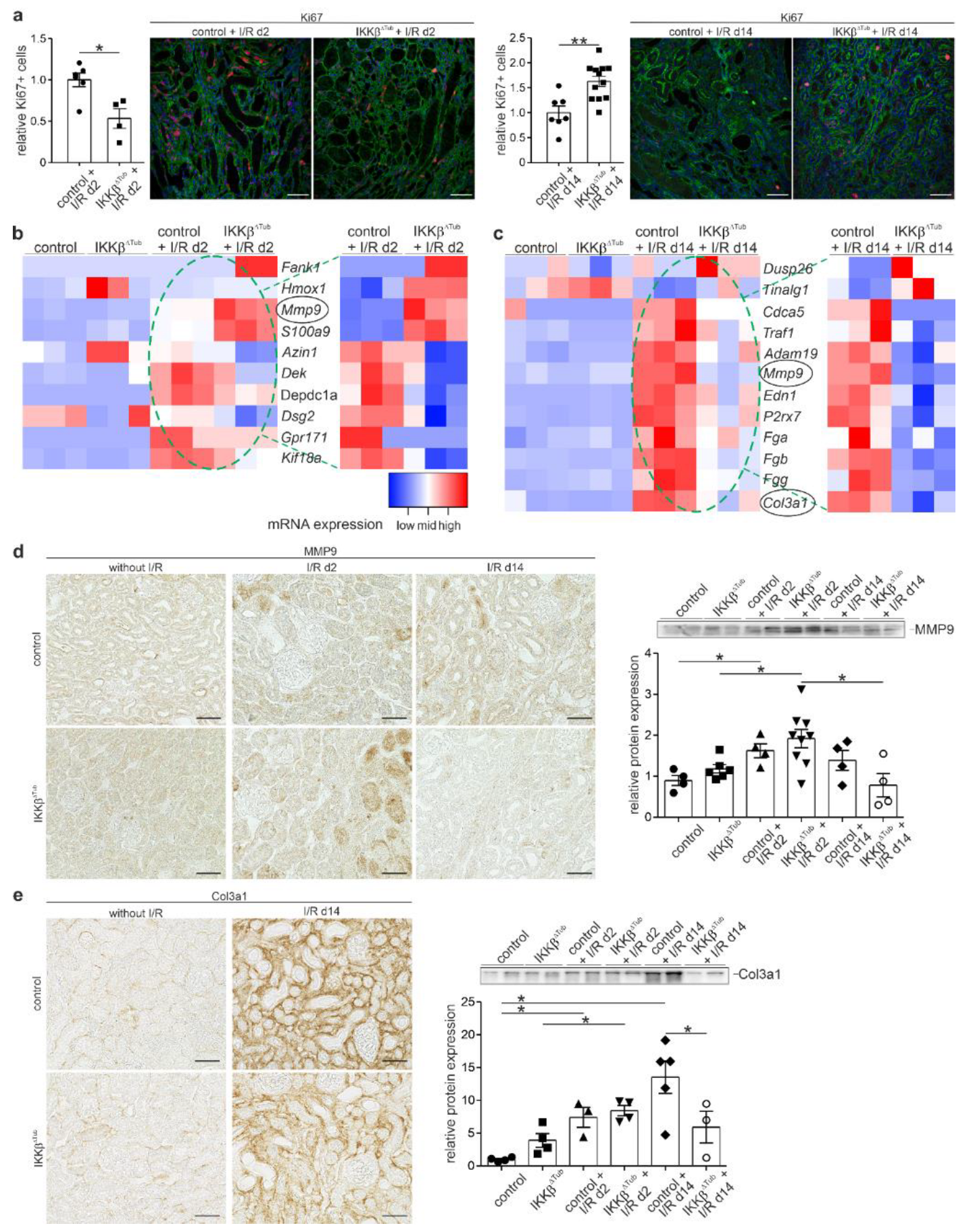 Ijms 23 10199 g005 550