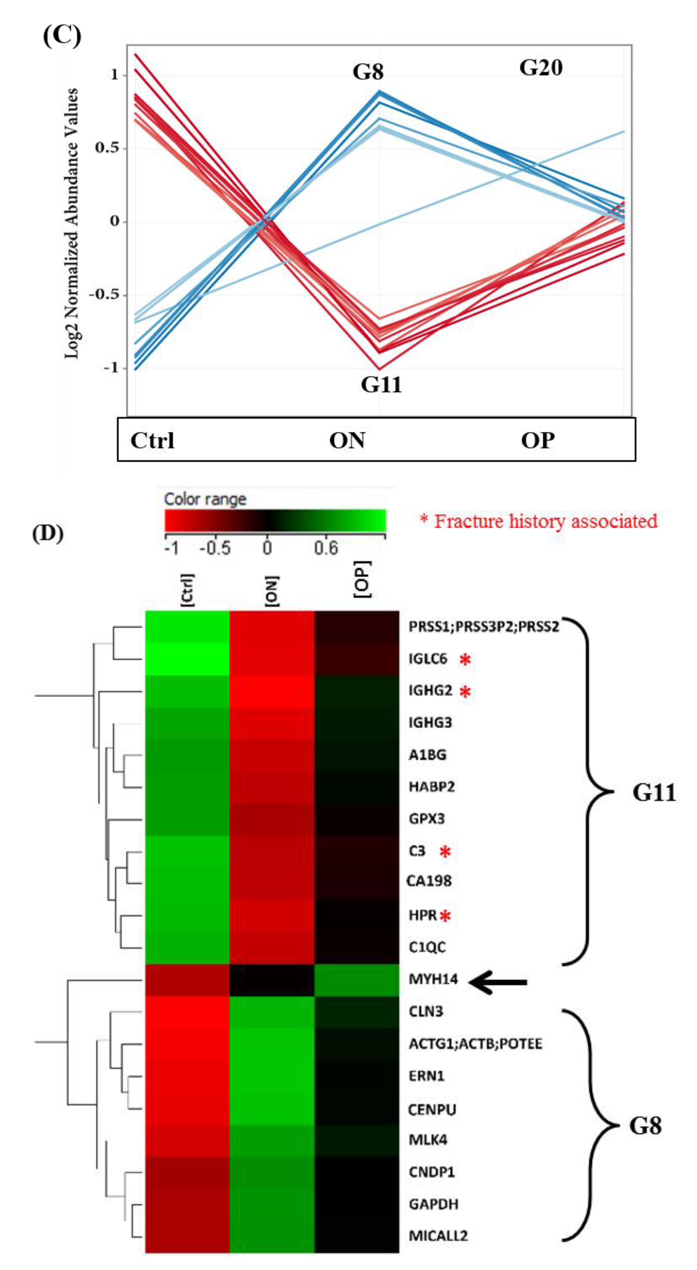 Ijms 23 10200 g002b Ijms 23 10200 g002b