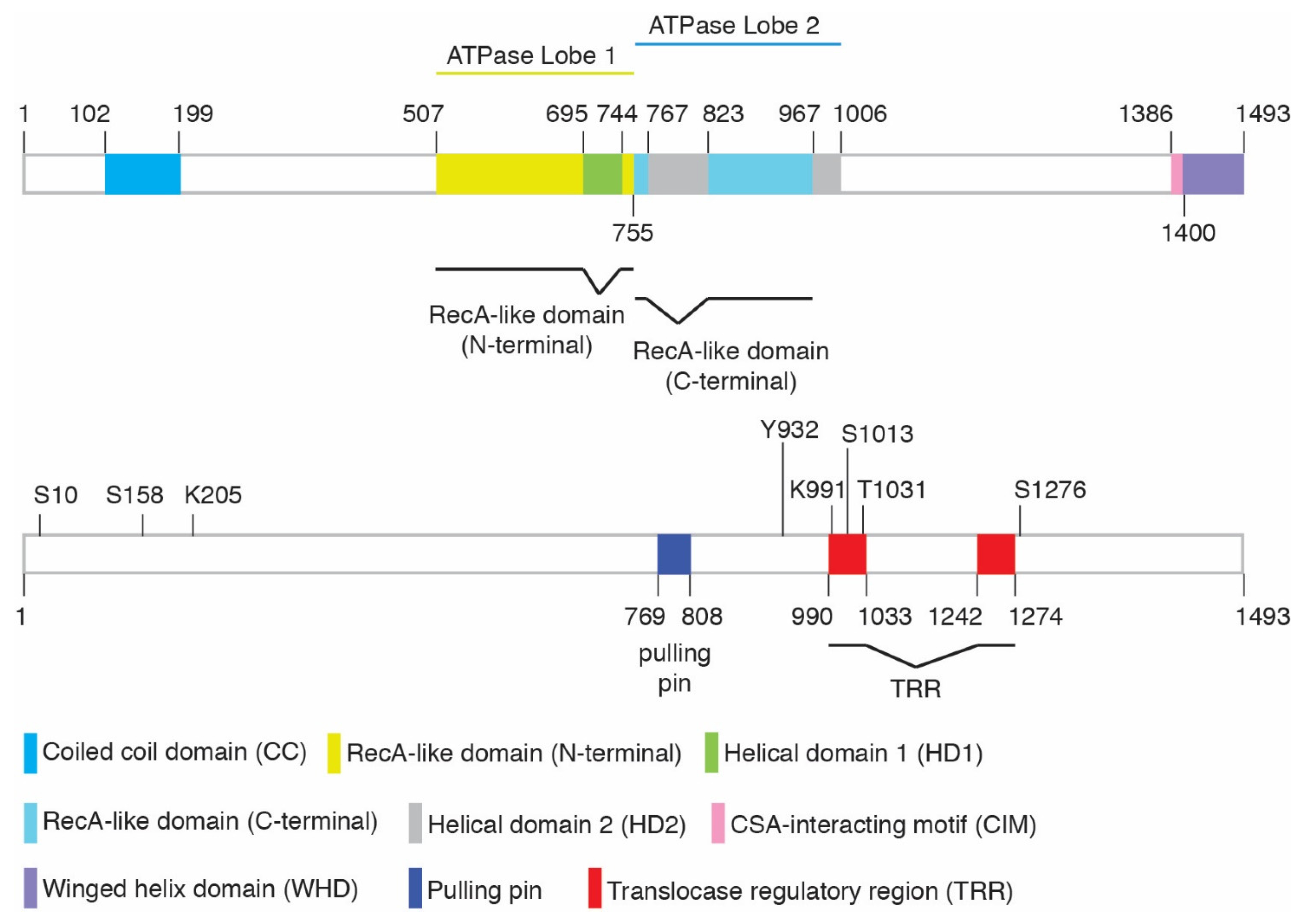 Ijms 23 10212 g001 Ijms 23 10212 g001