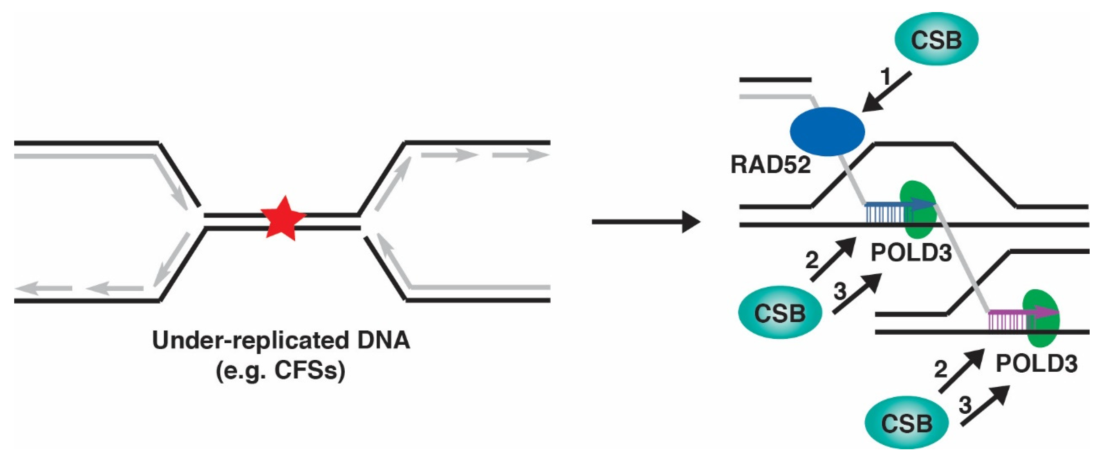 Ijms 23 10212 g003 Ijms 23 10212 g003