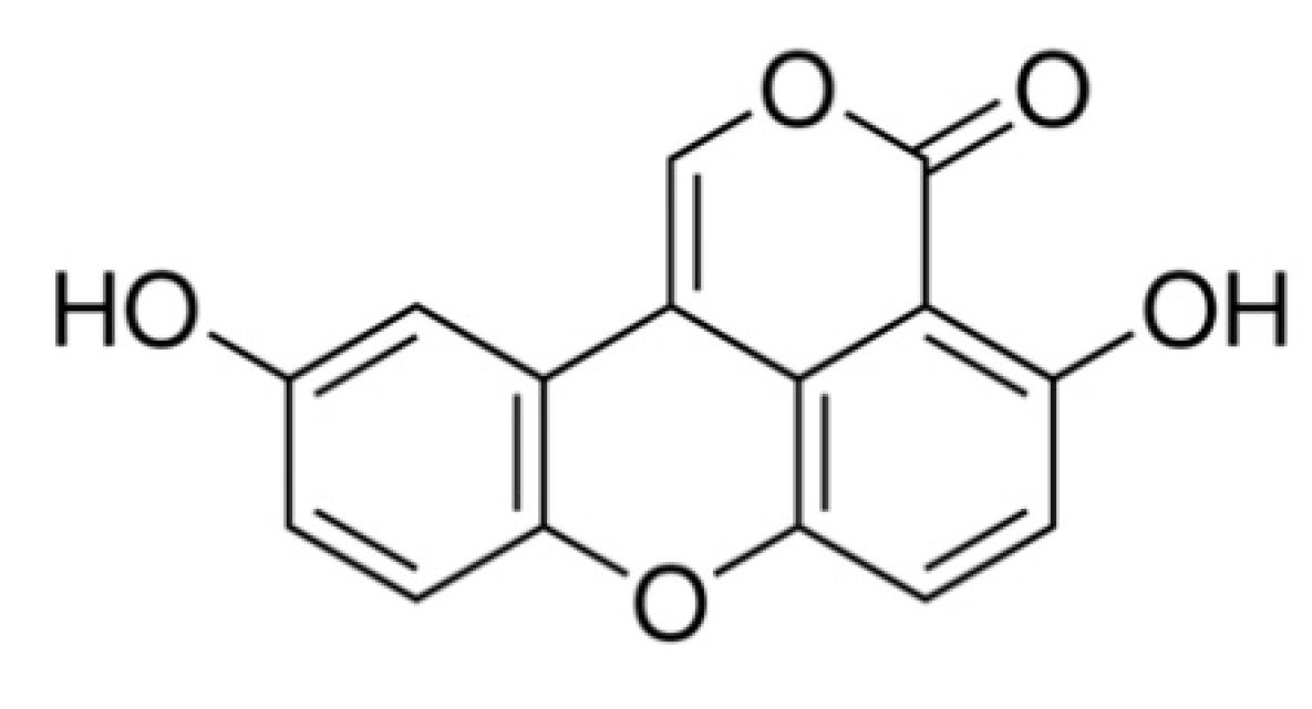 Ijms 23 10213 g001 550