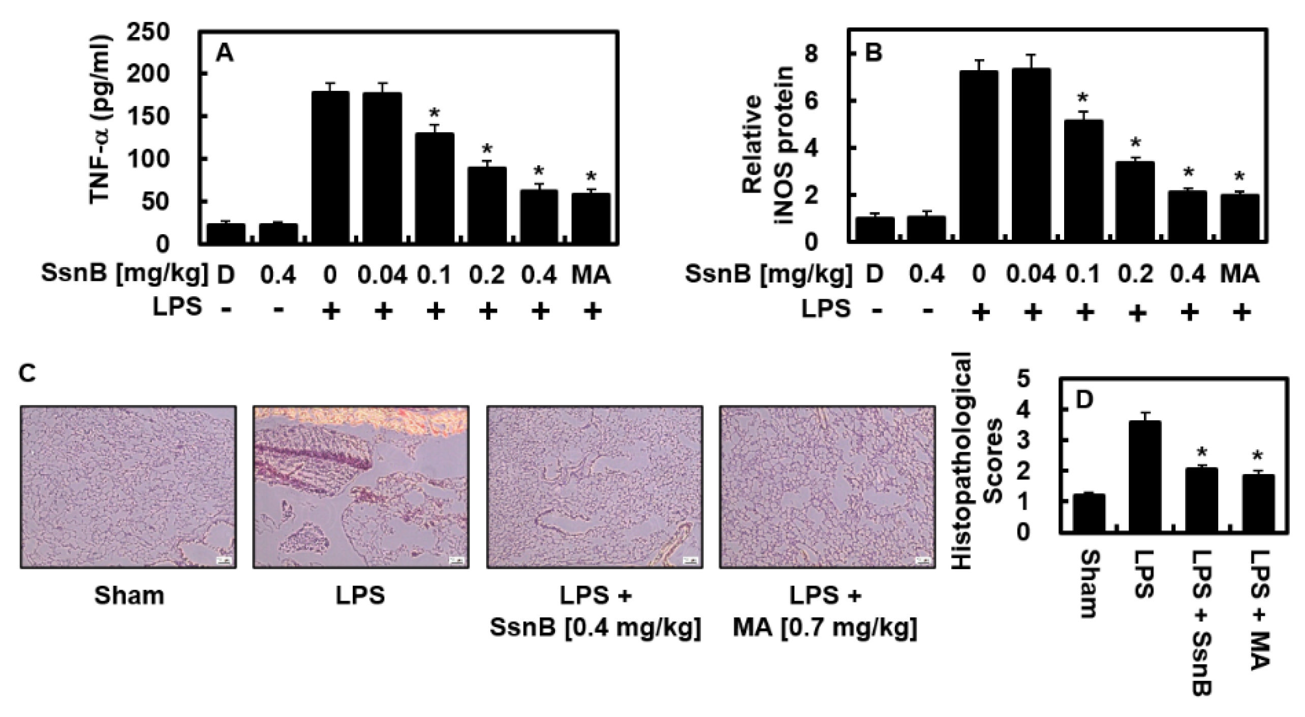 Ijms 23 10213 g005 550